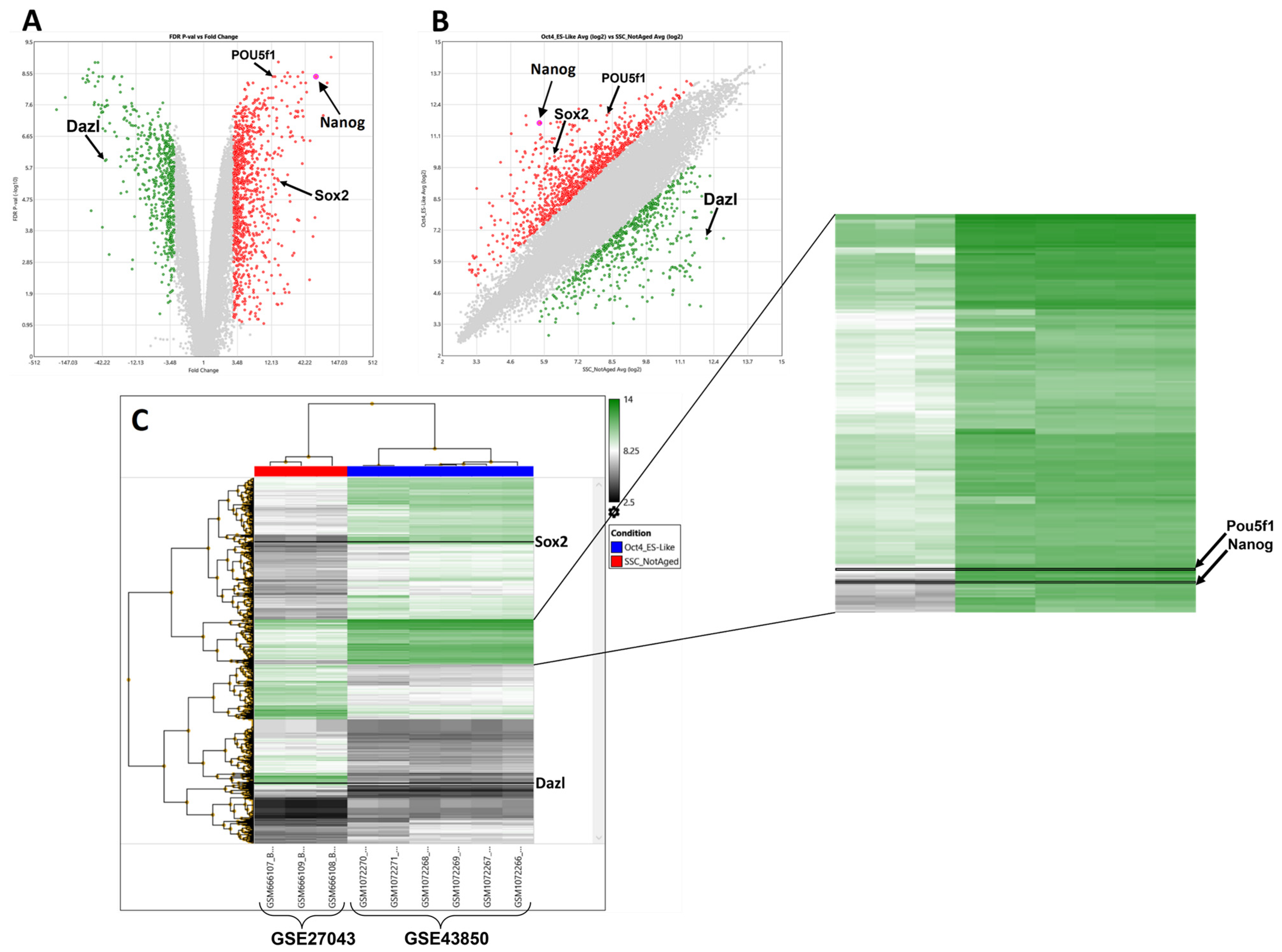 Ijms 25 04833 g001 Ijms 25 04833 g001