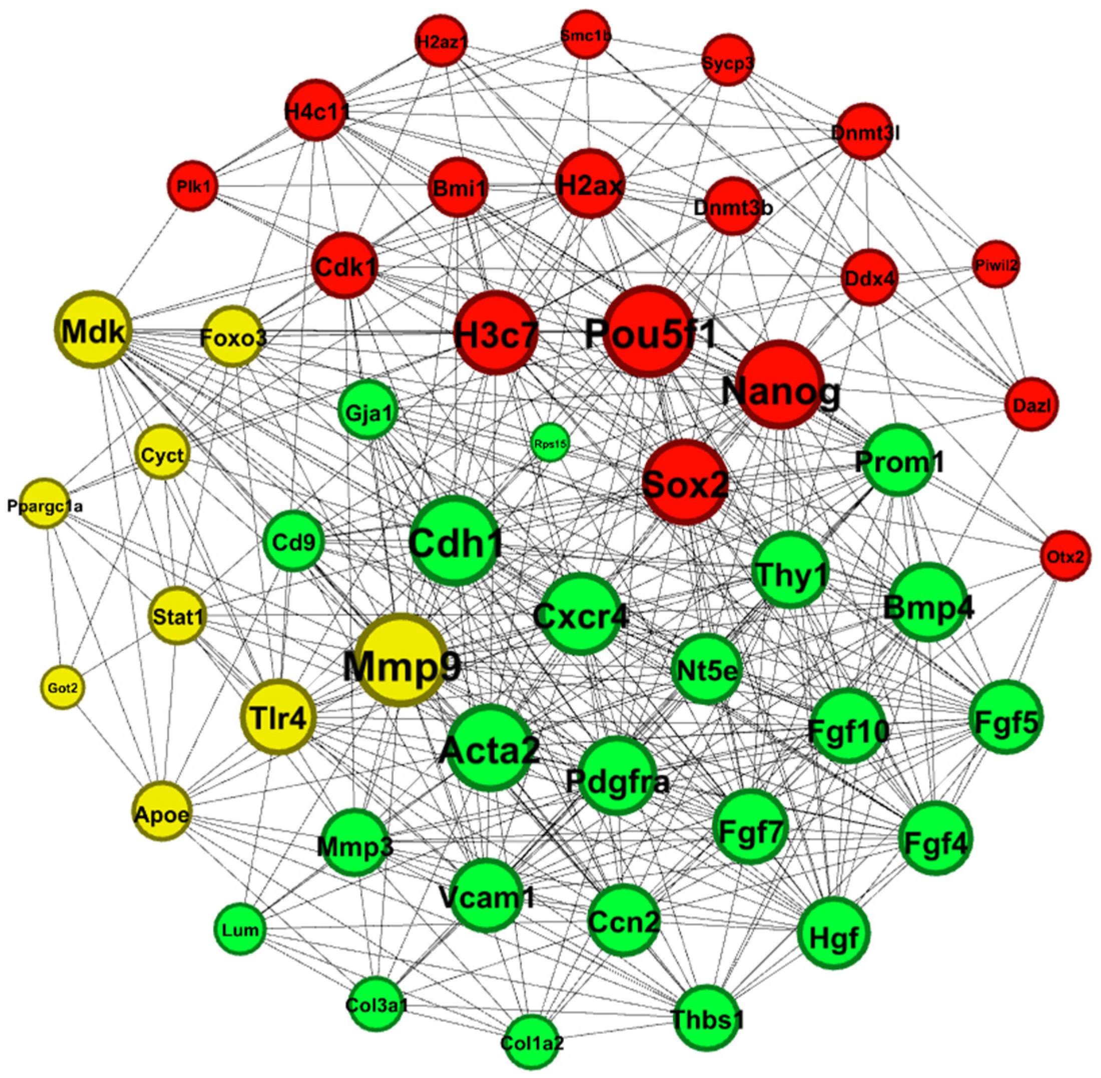 Ijms 25 04833 g003 Ijms 25 04833 g003