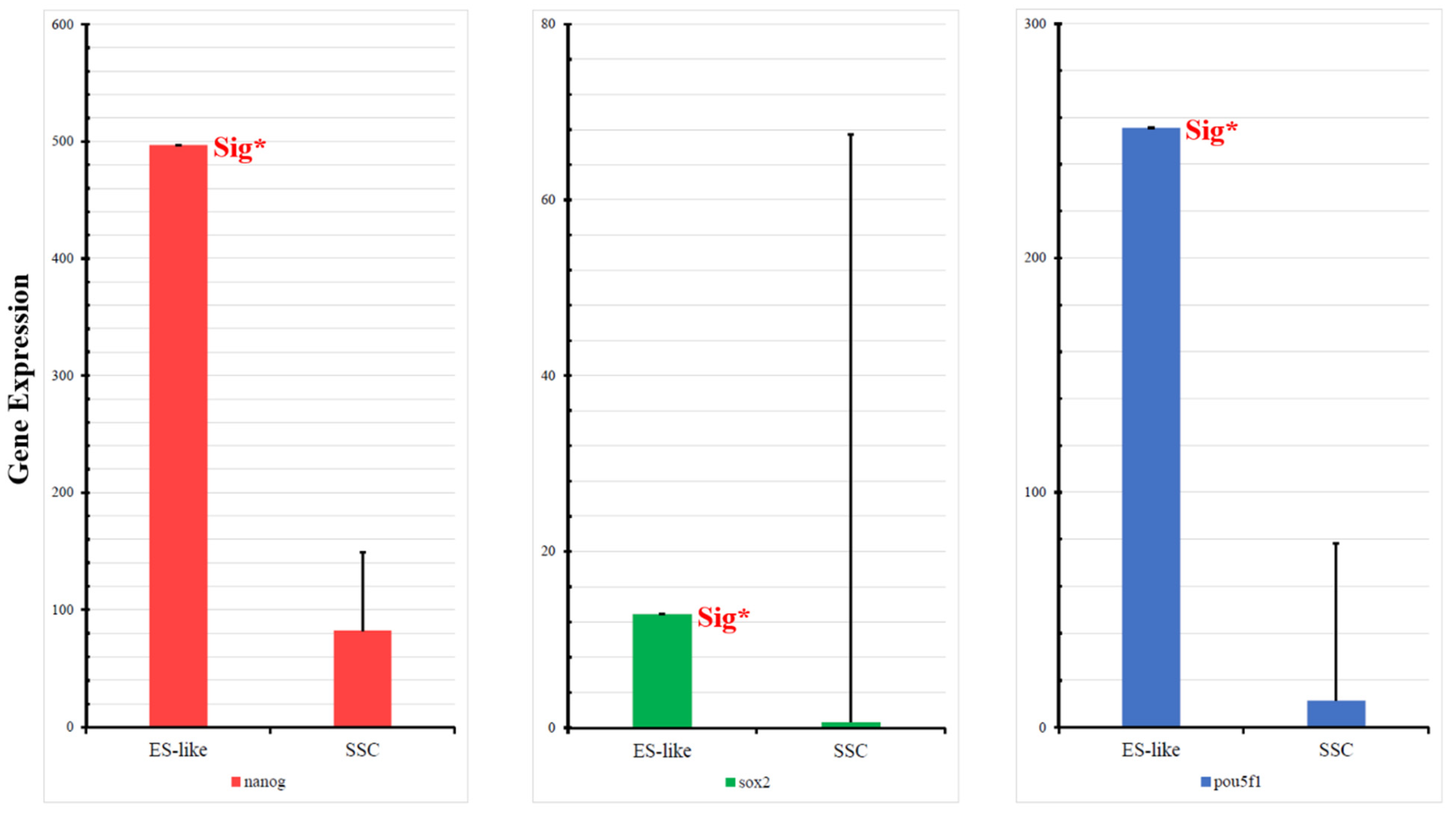 Ijms 25 04833 g006 Ijms 25 04833 g006