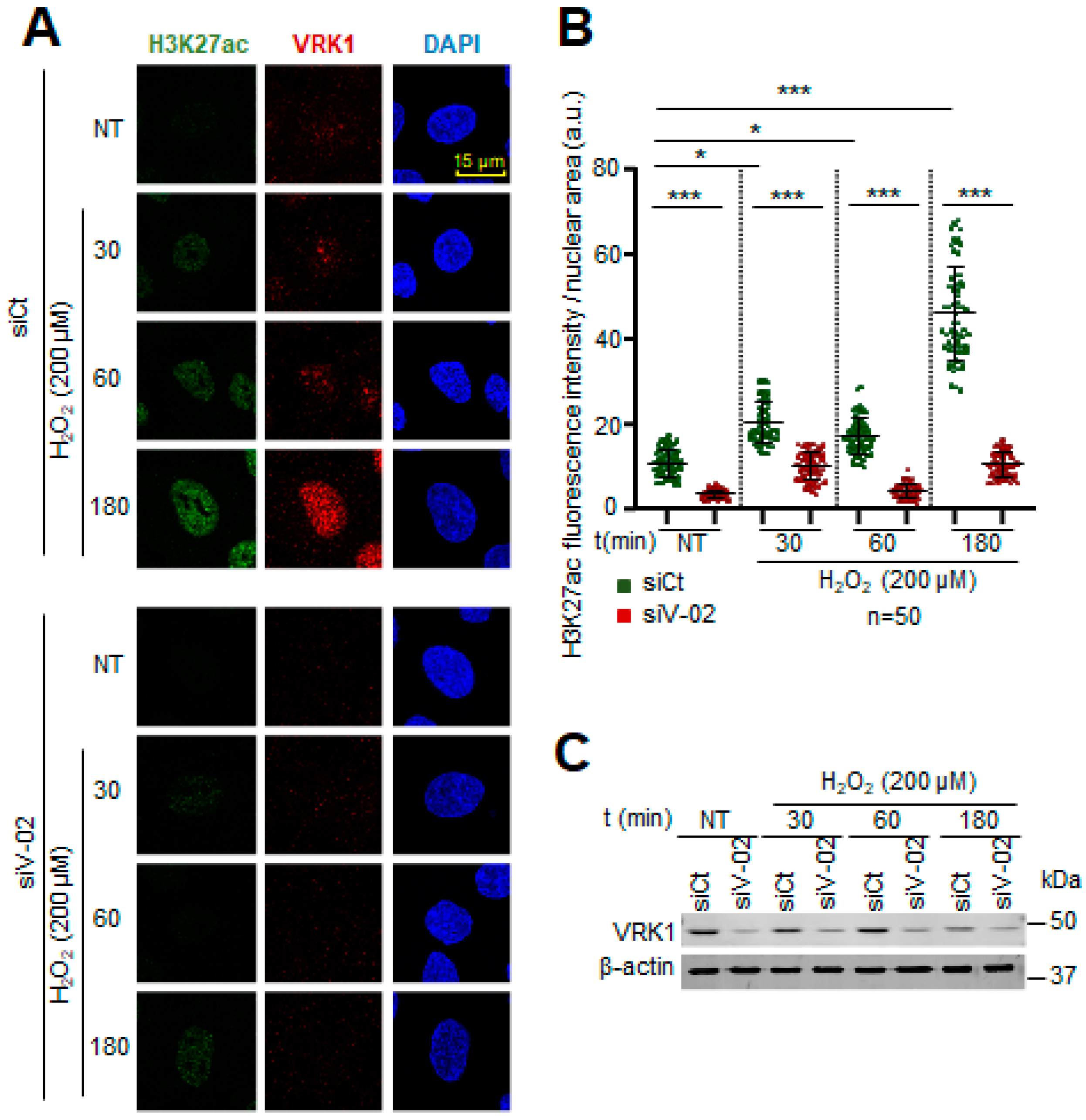 Ijms 25 04874 g007 Ijms 25 04874 g007