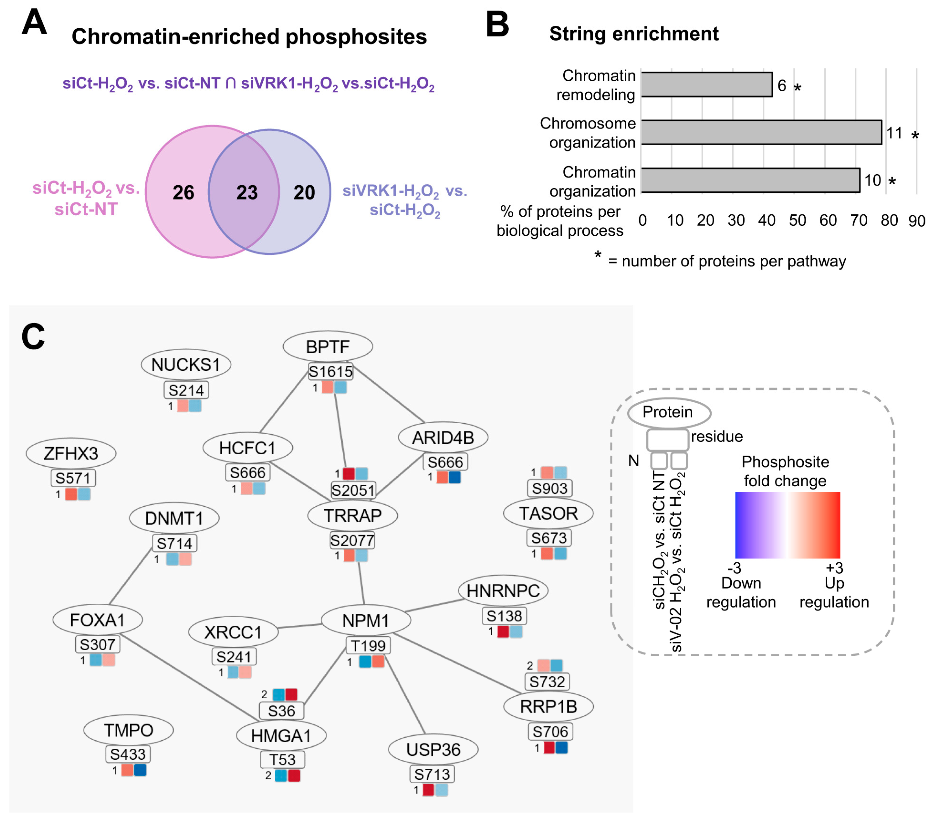 Ijms 25 04874 g008 Ijms 25 04874 g008
