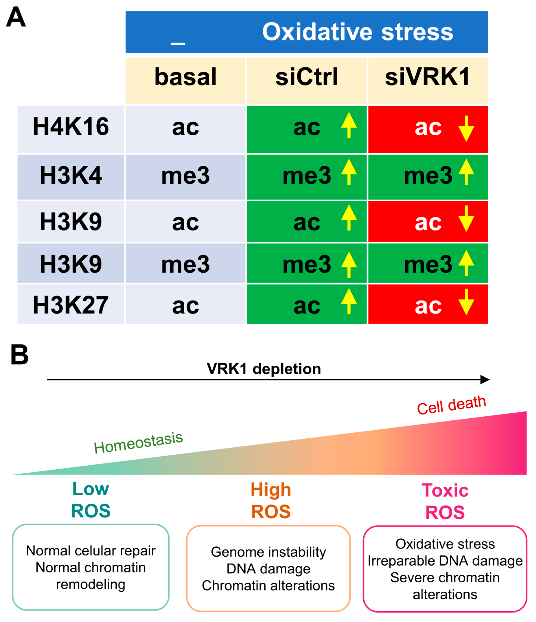 Ijms 25 04874 g009 Ijms 25 04874 g009