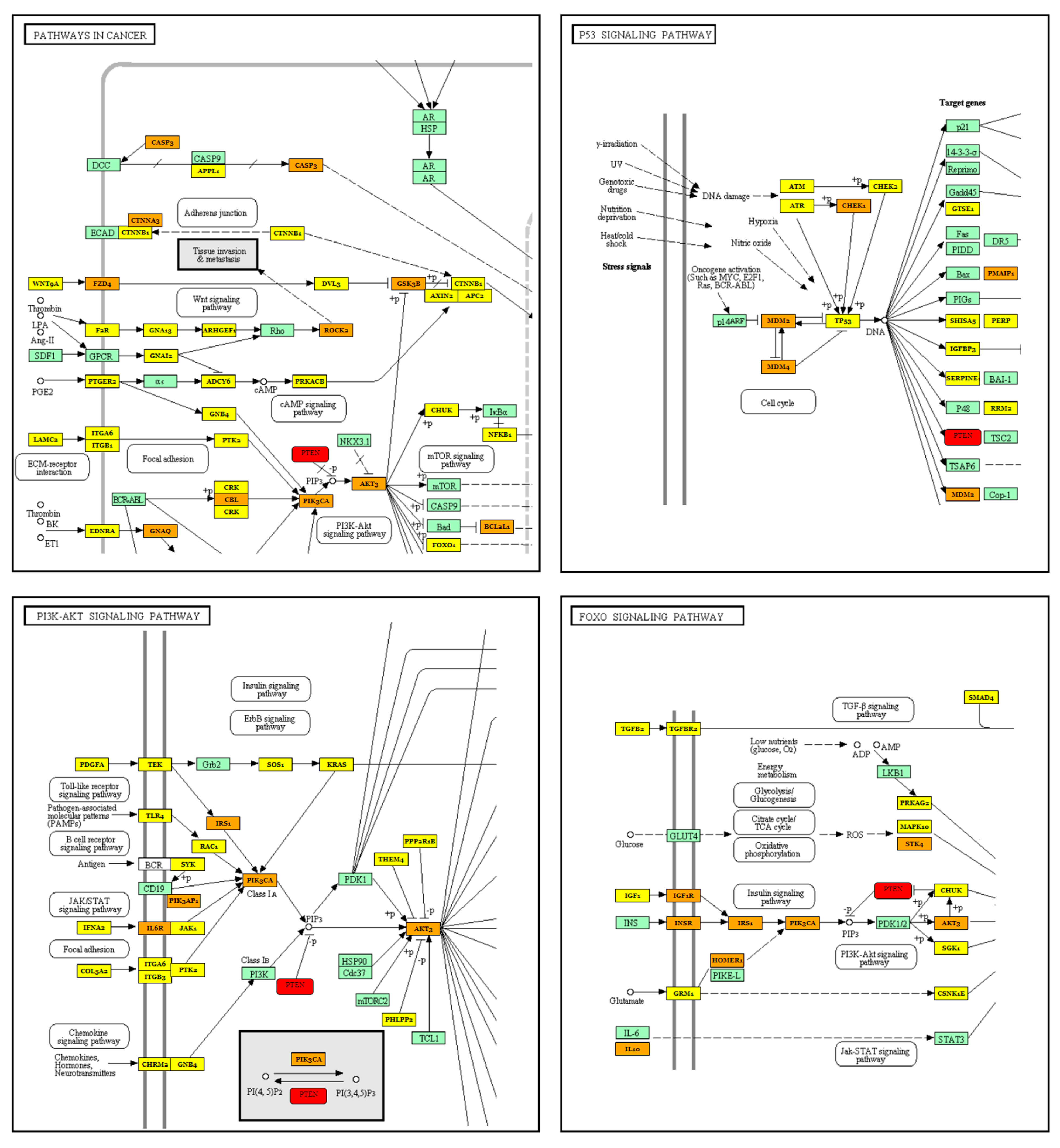 Ijms 25 04876 g003 Ijms 25 04876 g003