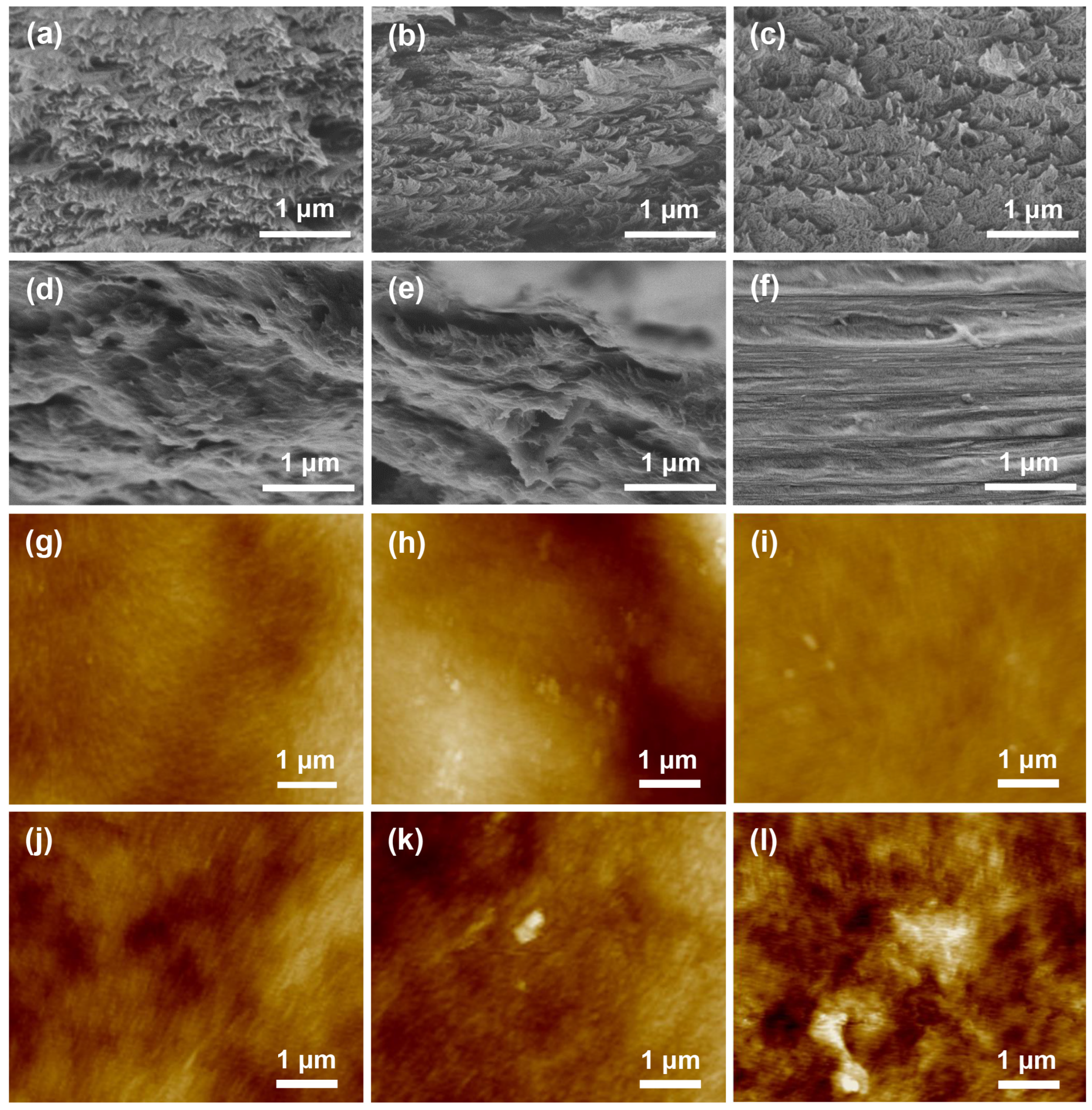 Ijms 25 04978 g003