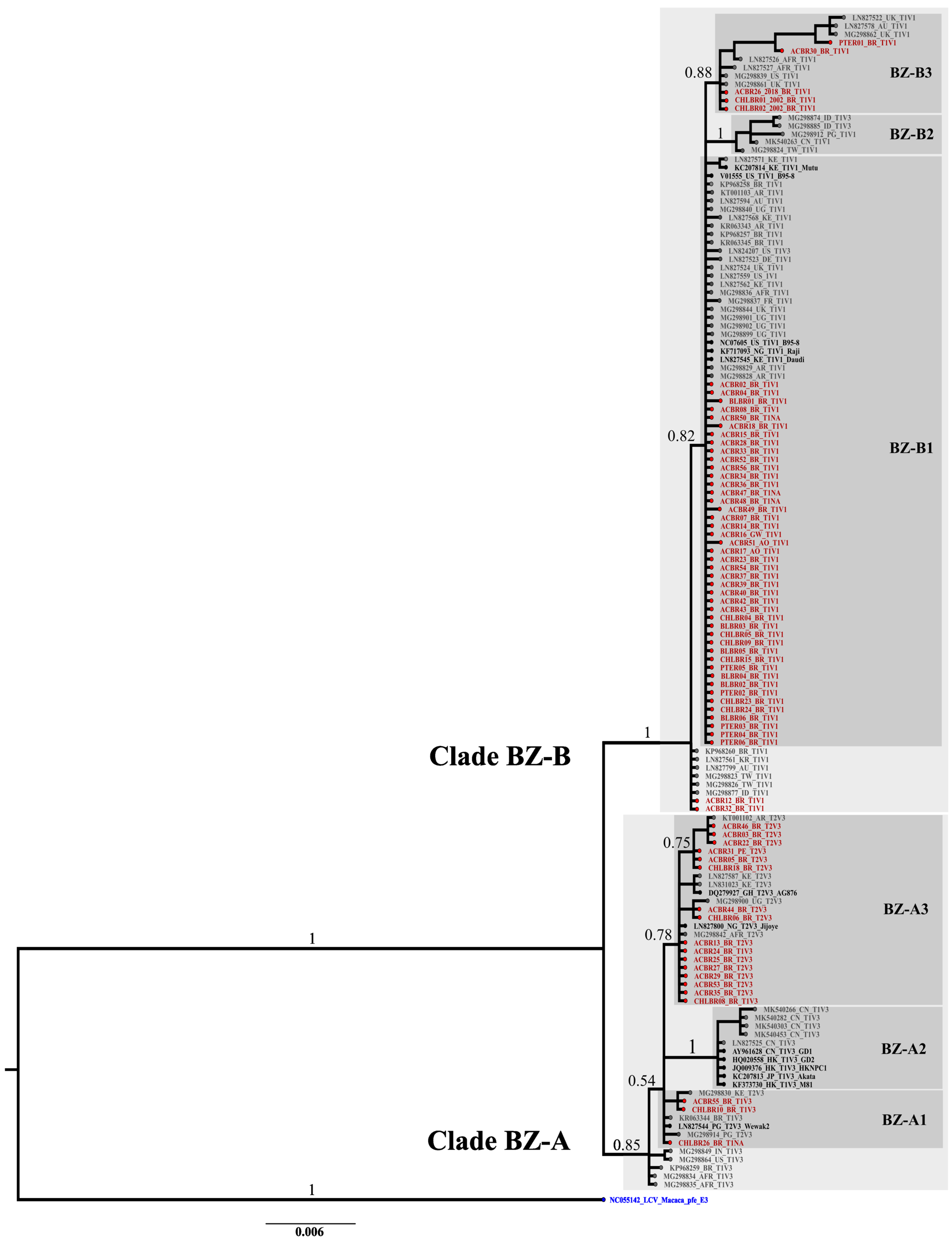 Ijms 25 05002 g001 Ijms 25 05002 g001