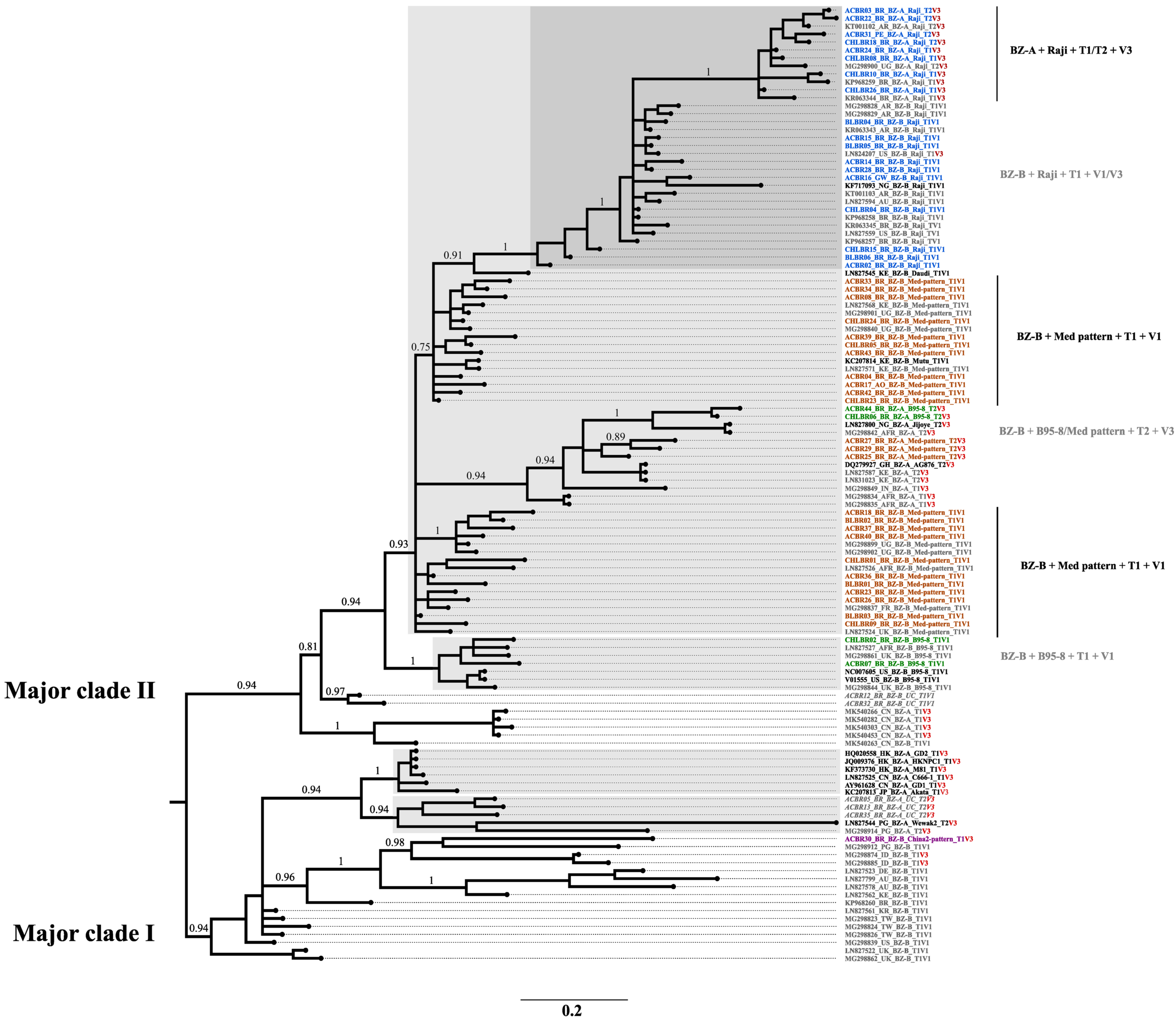 Ijms 25 05002 g003 Ijms 25 05002 g003