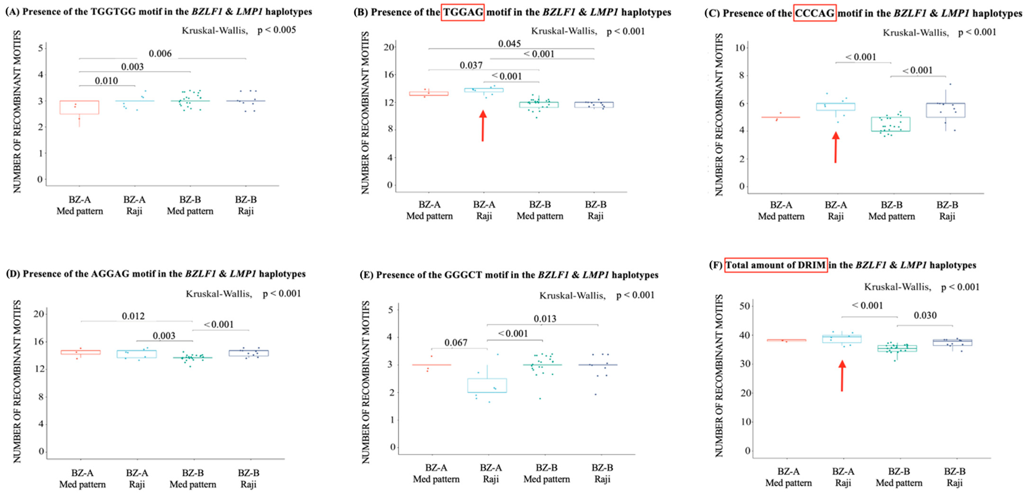 Ijms 25 05002 g004 Ijms 25 05002 g004