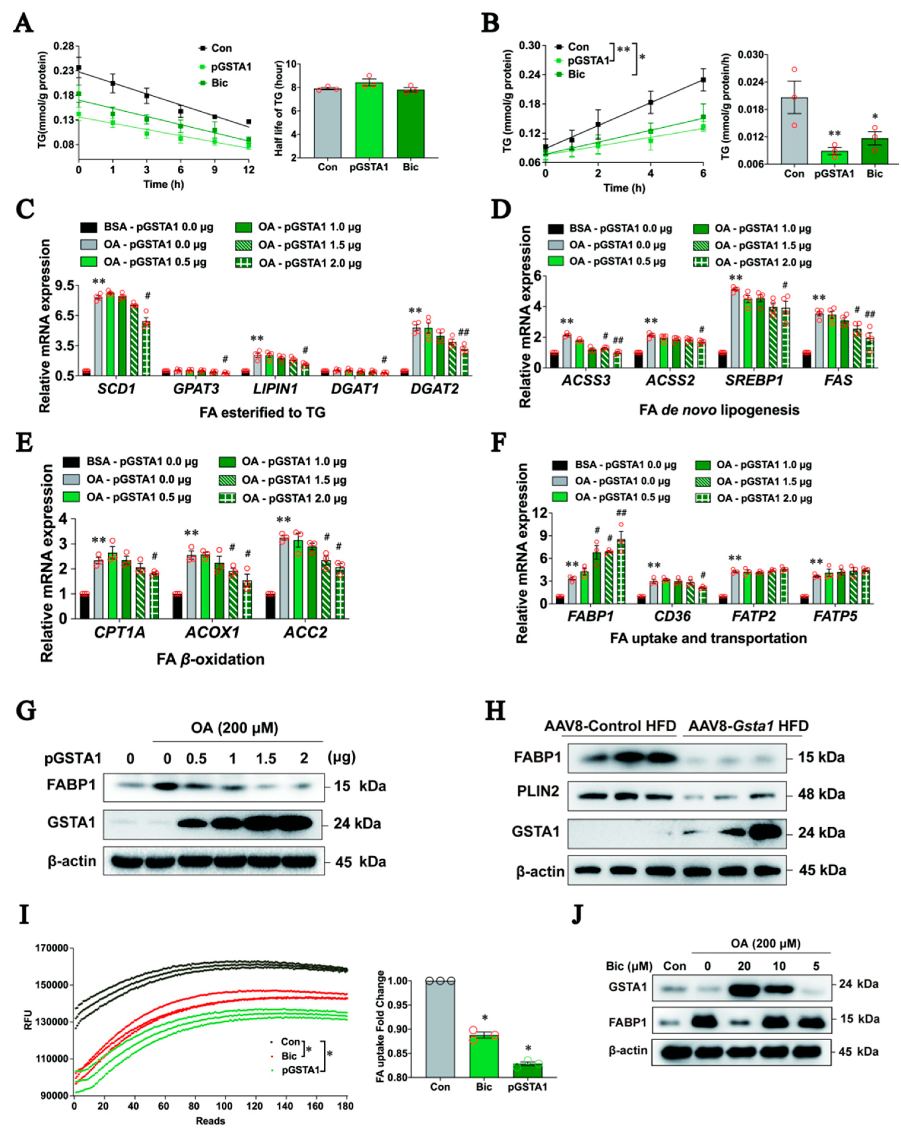 Ijms 25 05086 g006 Ijms 25 05086 g006
