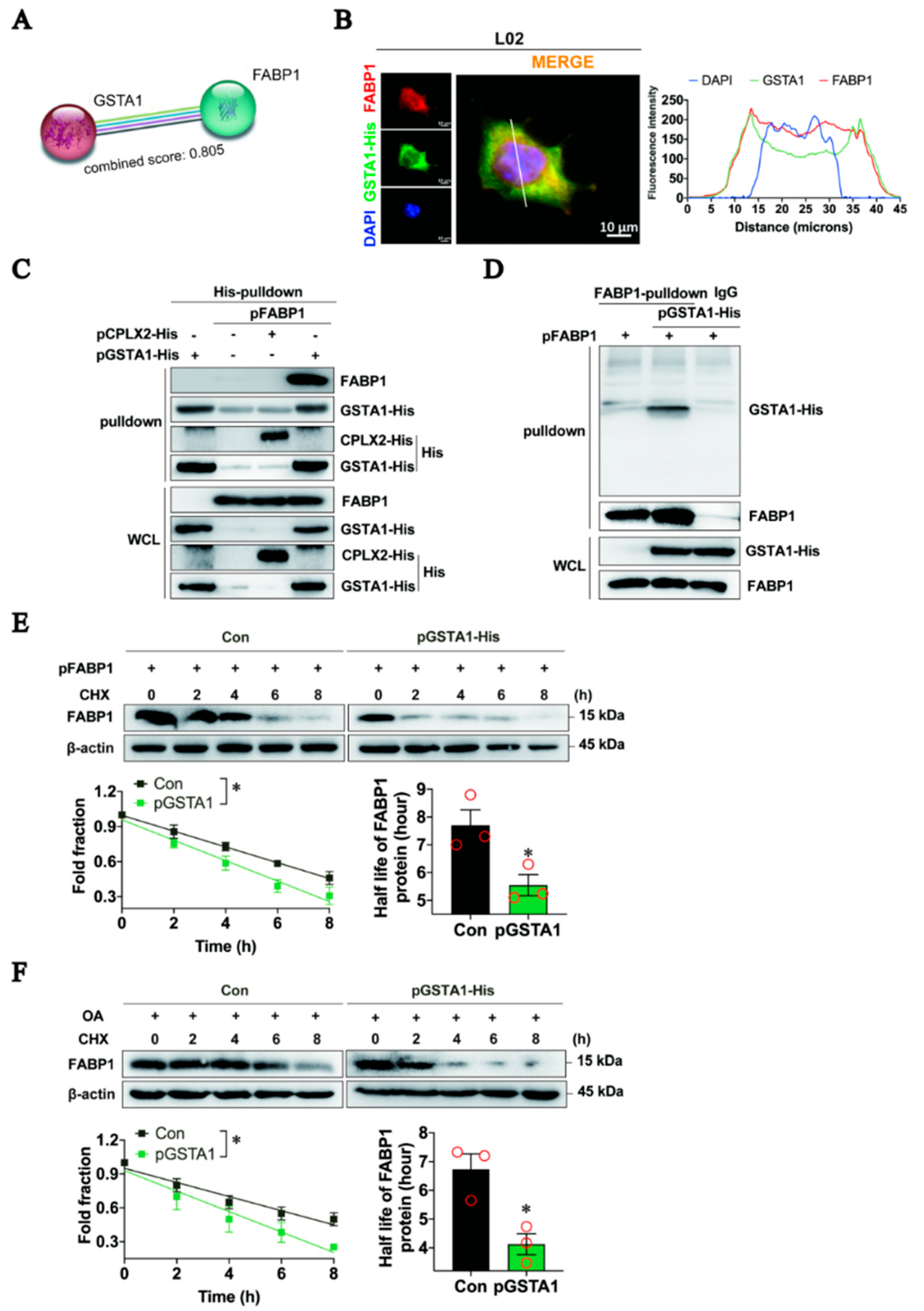 Ijms 25 05086 g007 Ijms 25 05086 g007