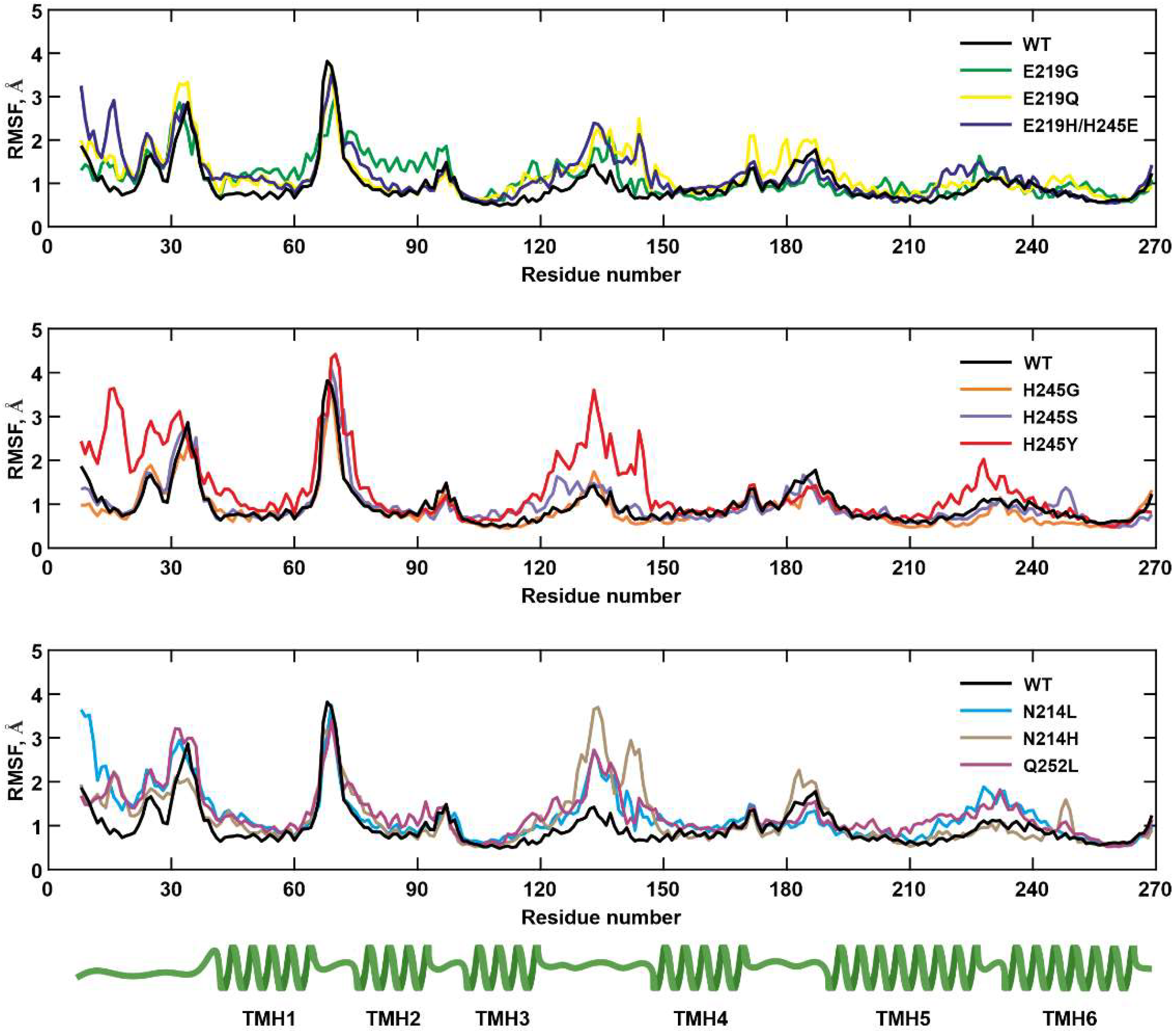 Ijms 25 05143 g002 Ijms 25 05143 g002
