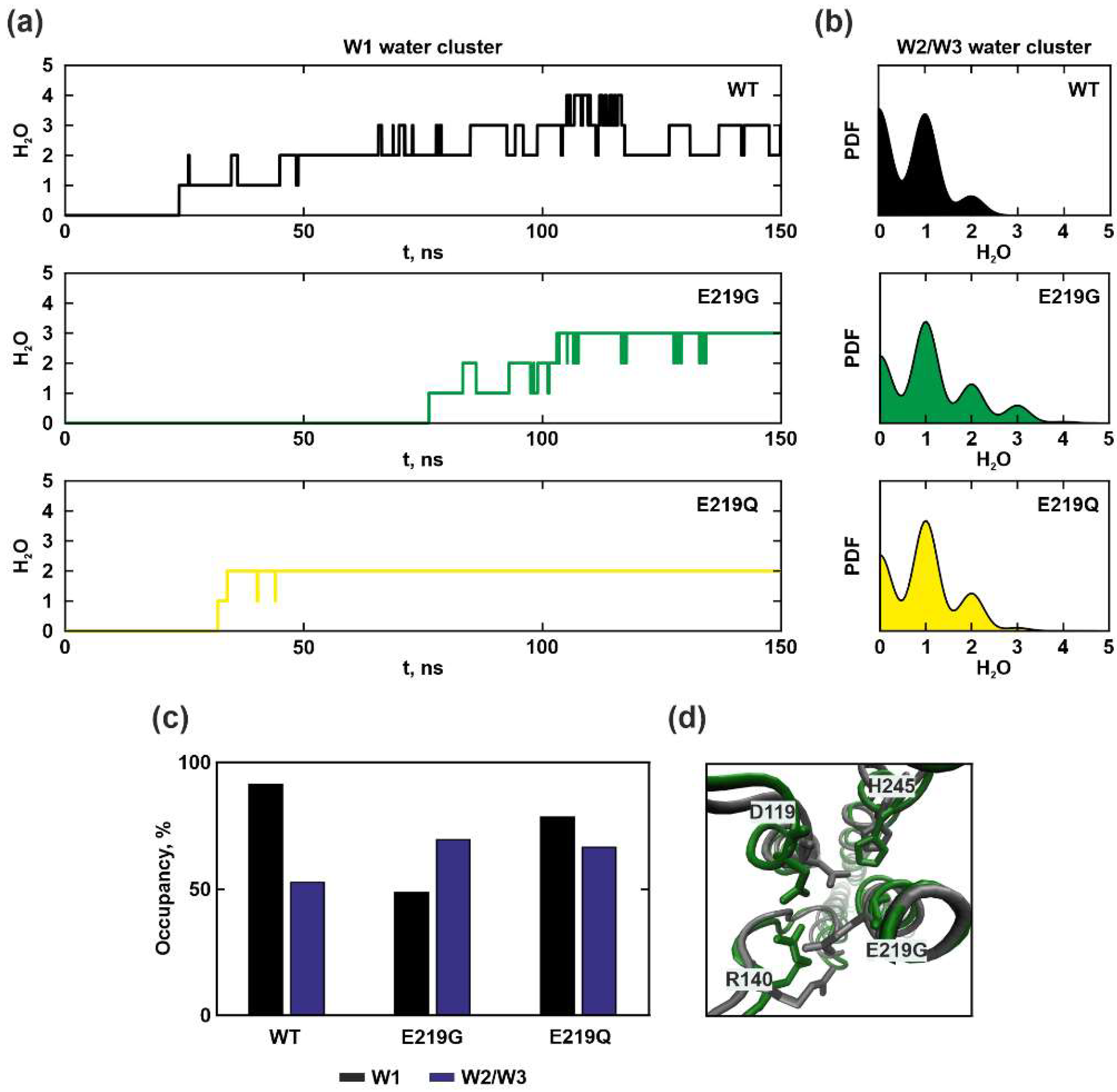 Ijms 25 05143 g003 Ijms 25 05143 g003