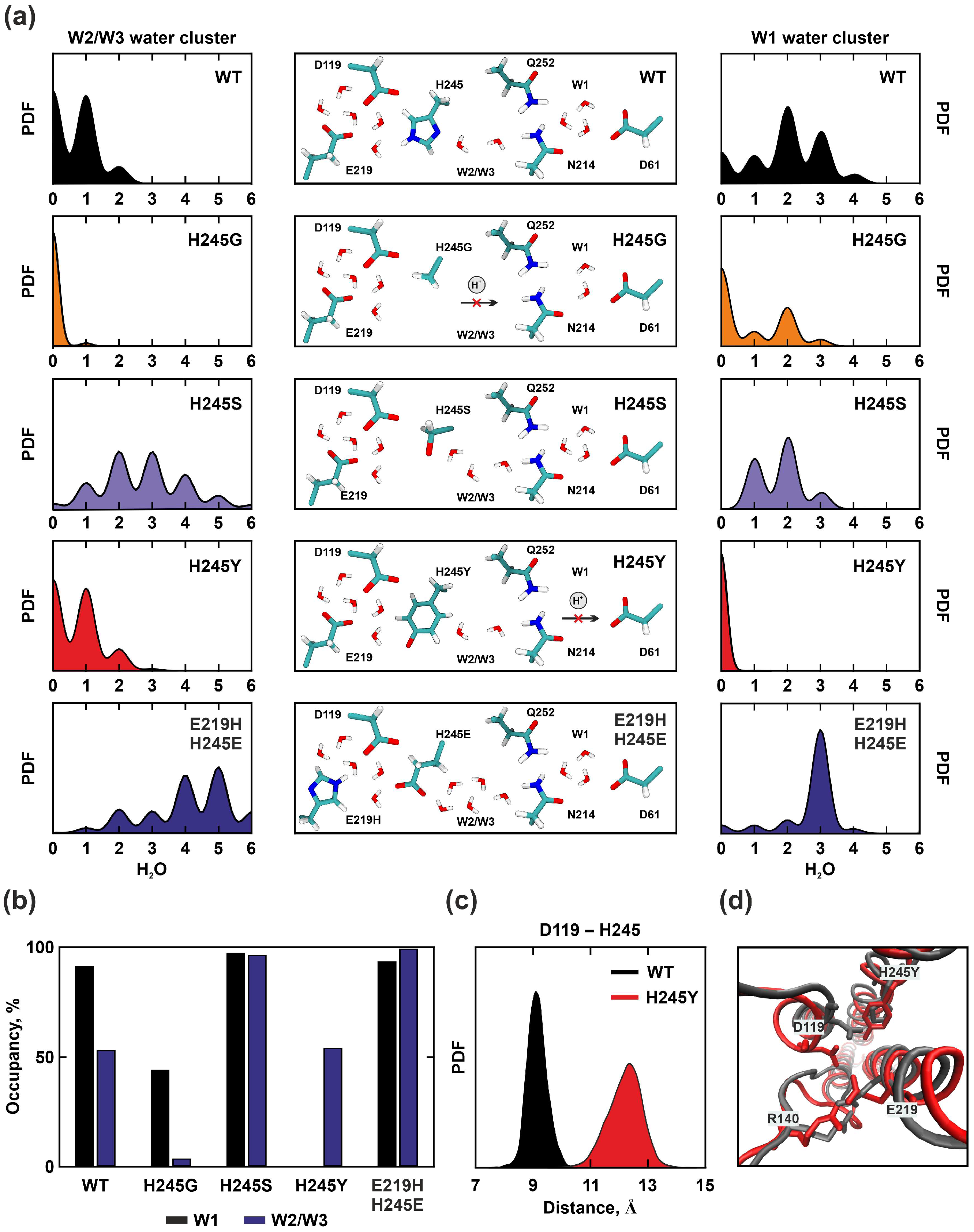 Ijms 25 05143 g004 Ijms 25 05143 g004