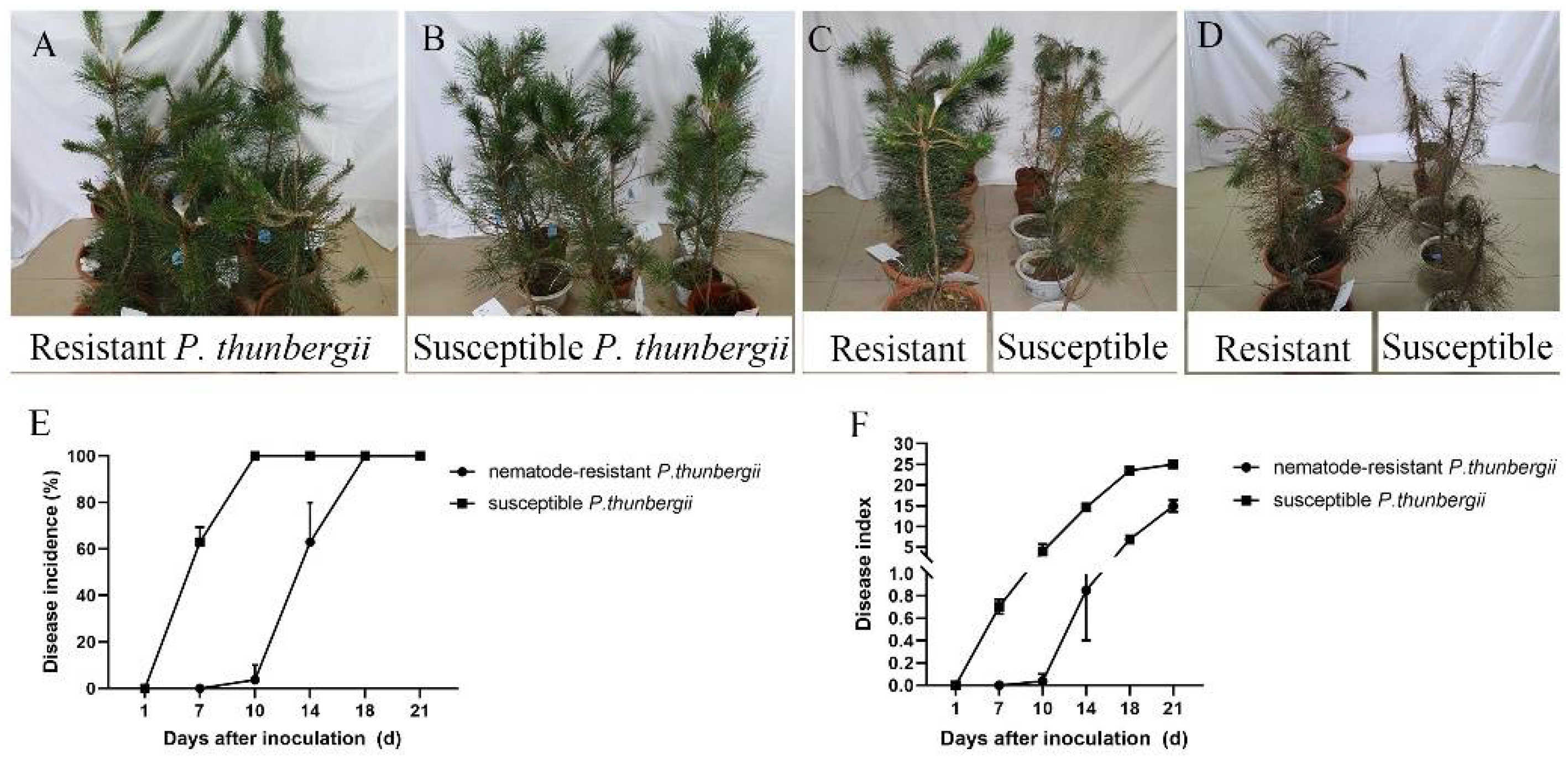 Ijms 25 05156 g001 Ijms 25 05156 g001