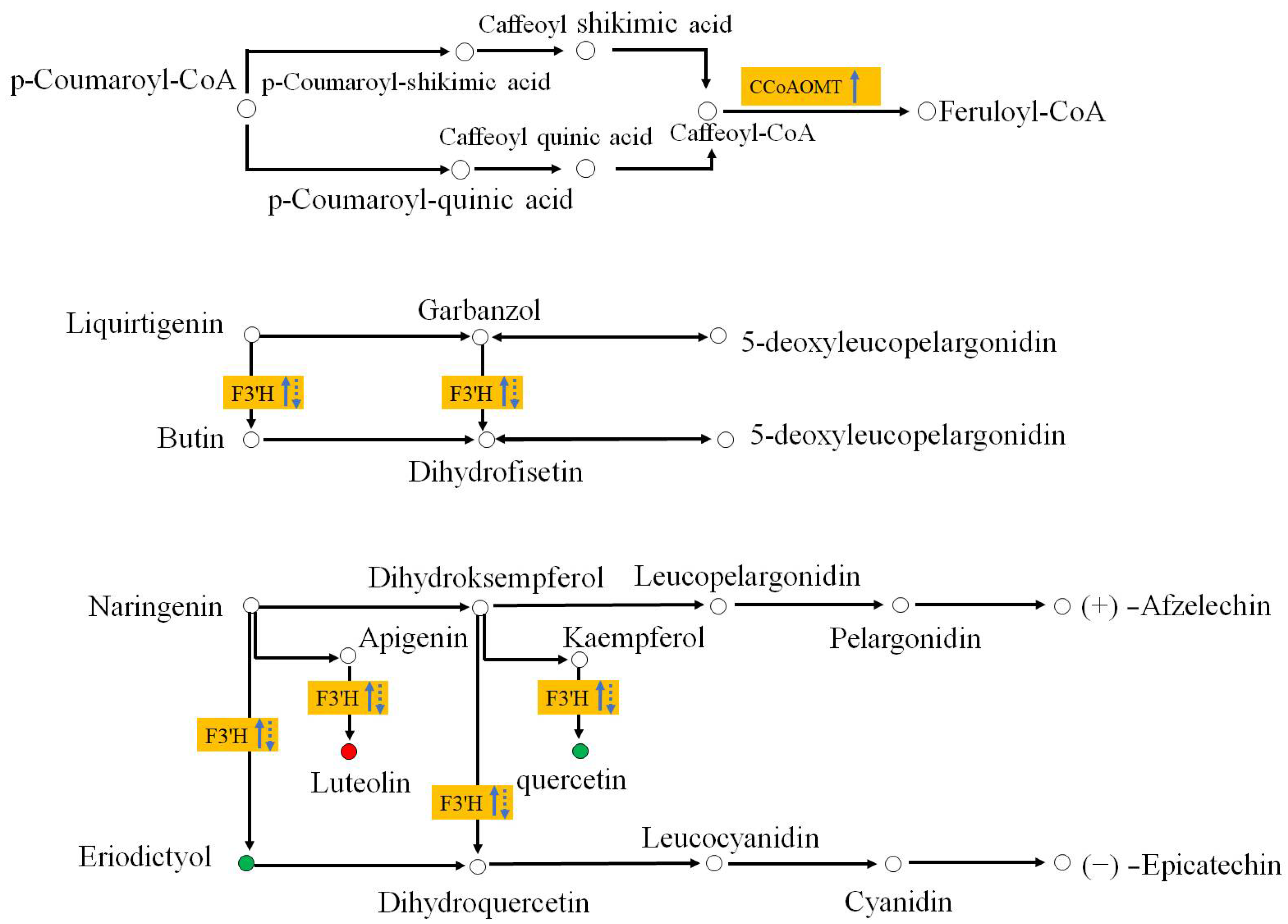 Ijms 25 05156 g006 Ijms 25 05156 g006