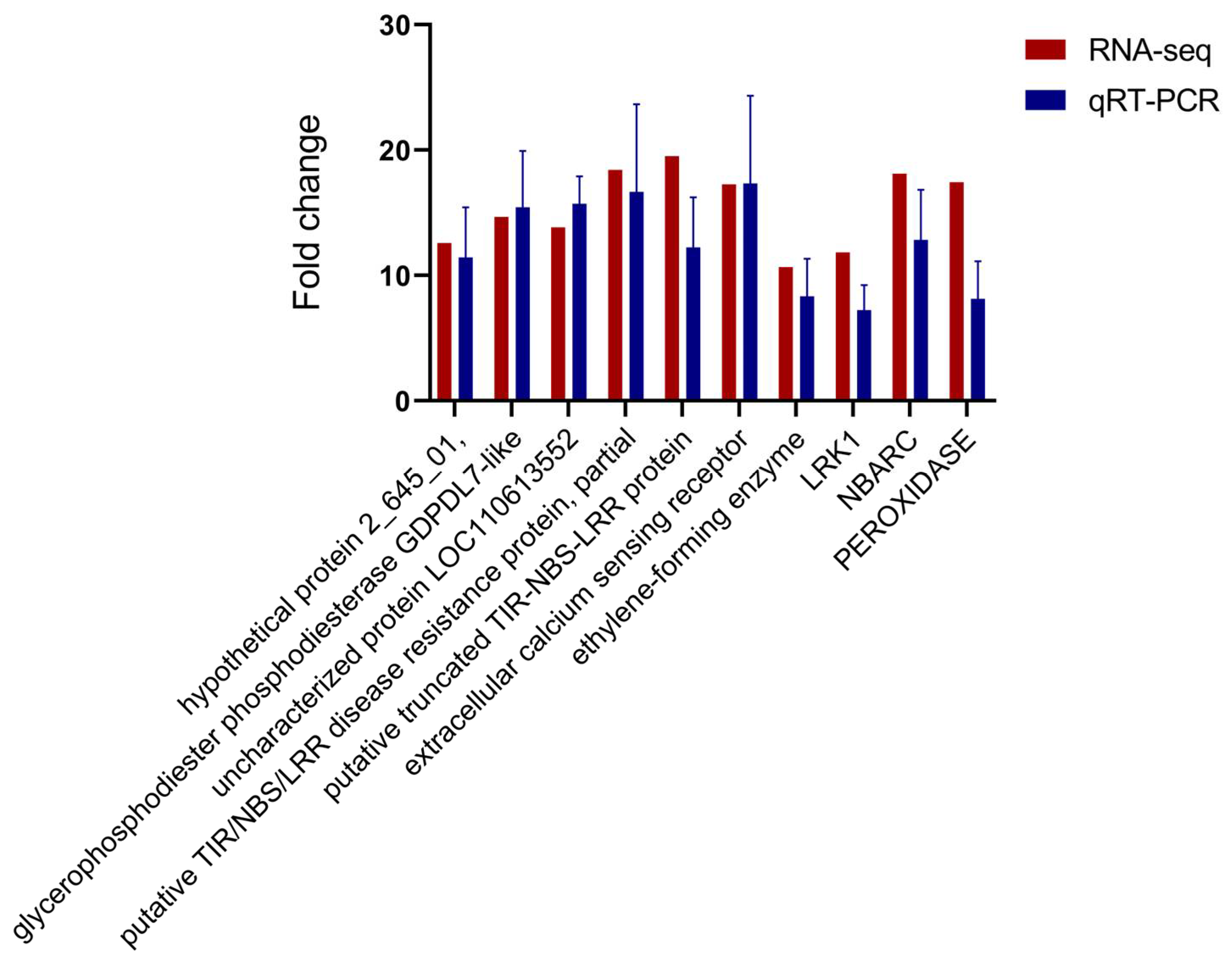 Ijms 25 05156 g007 Ijms 25 05156 g007