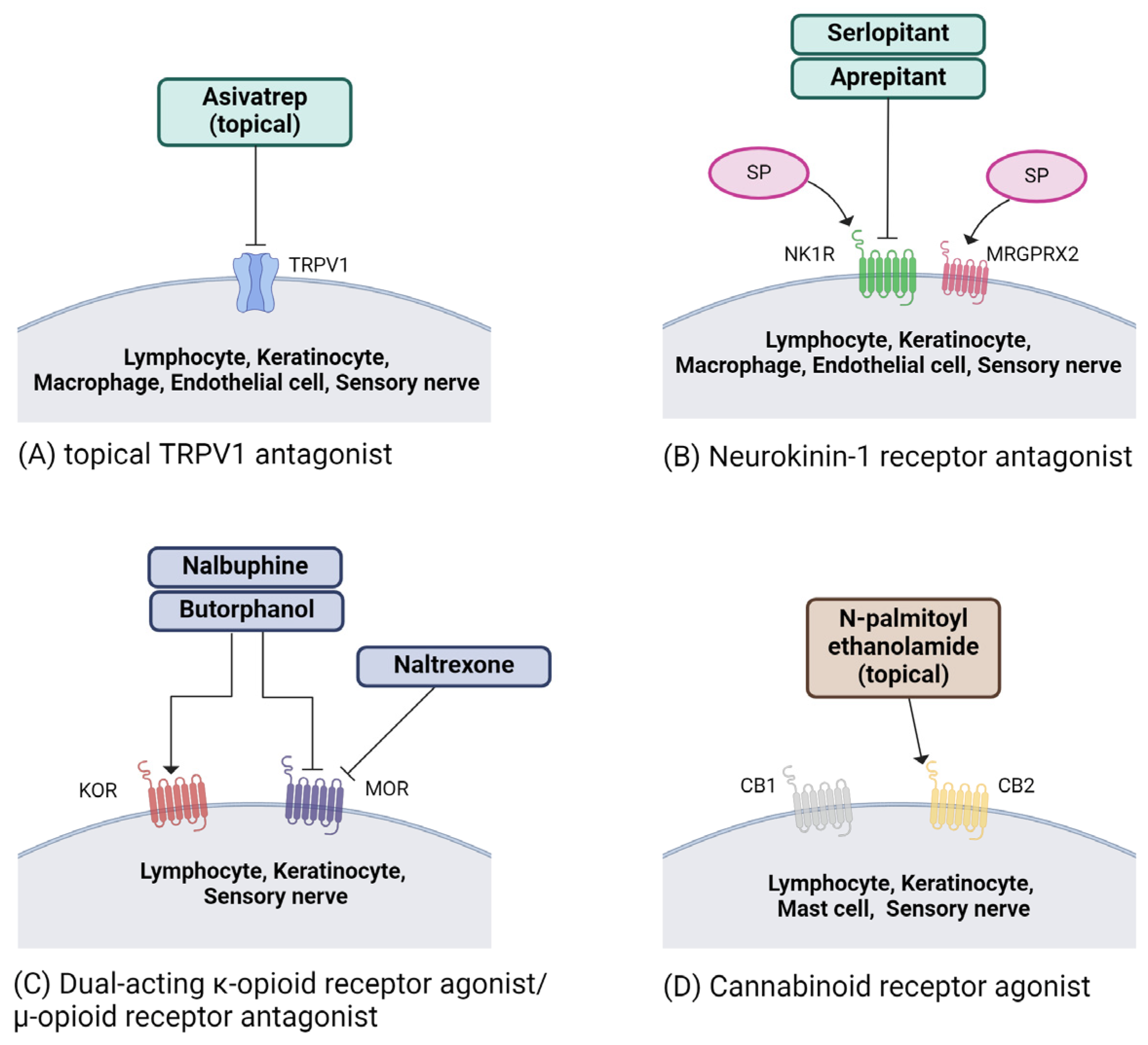 Ijms 25 05164 g002 Ijms 25 05164 g002
