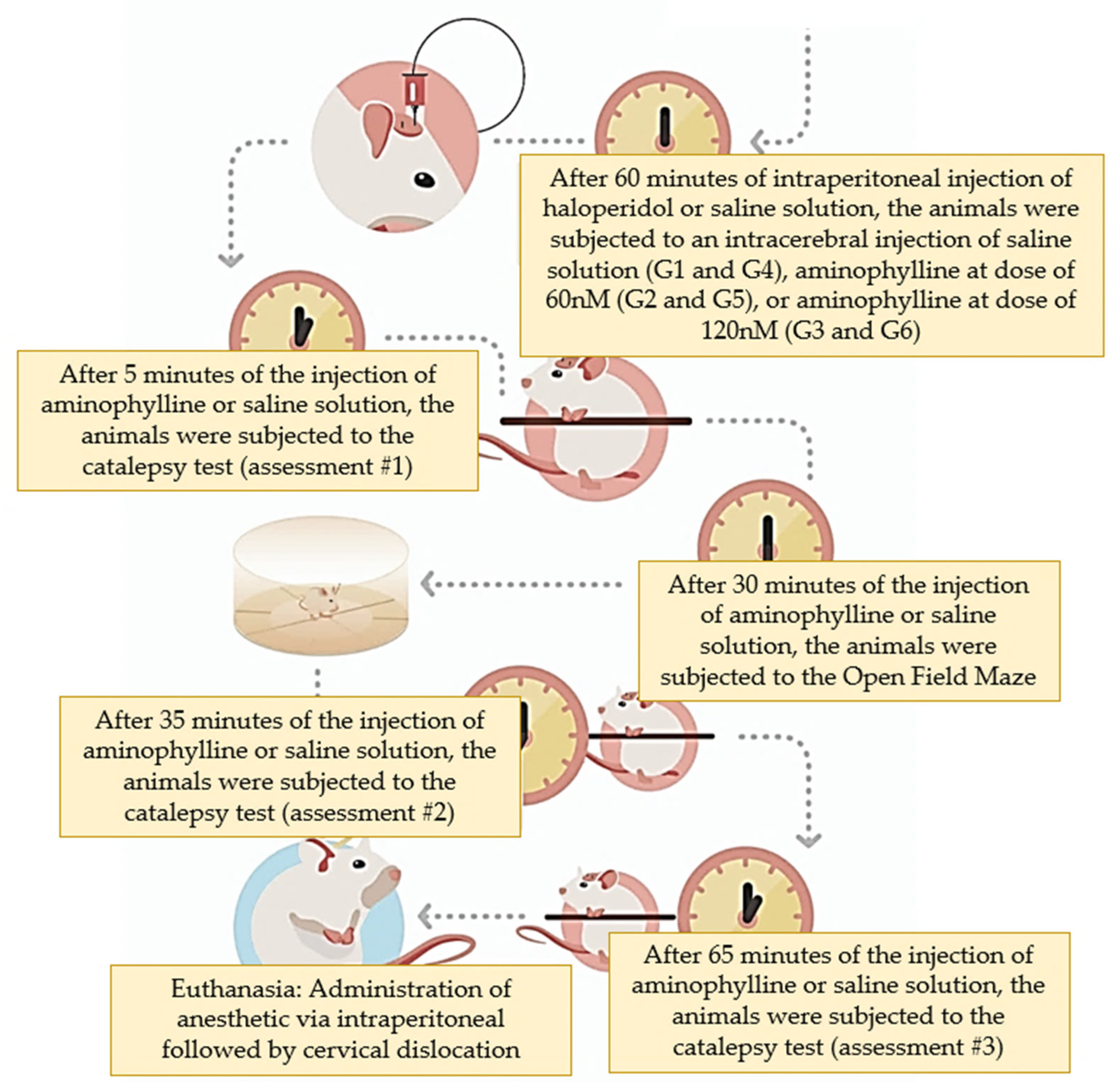 Ijms 25 05191 g005b Ijms 25 05191 g005b