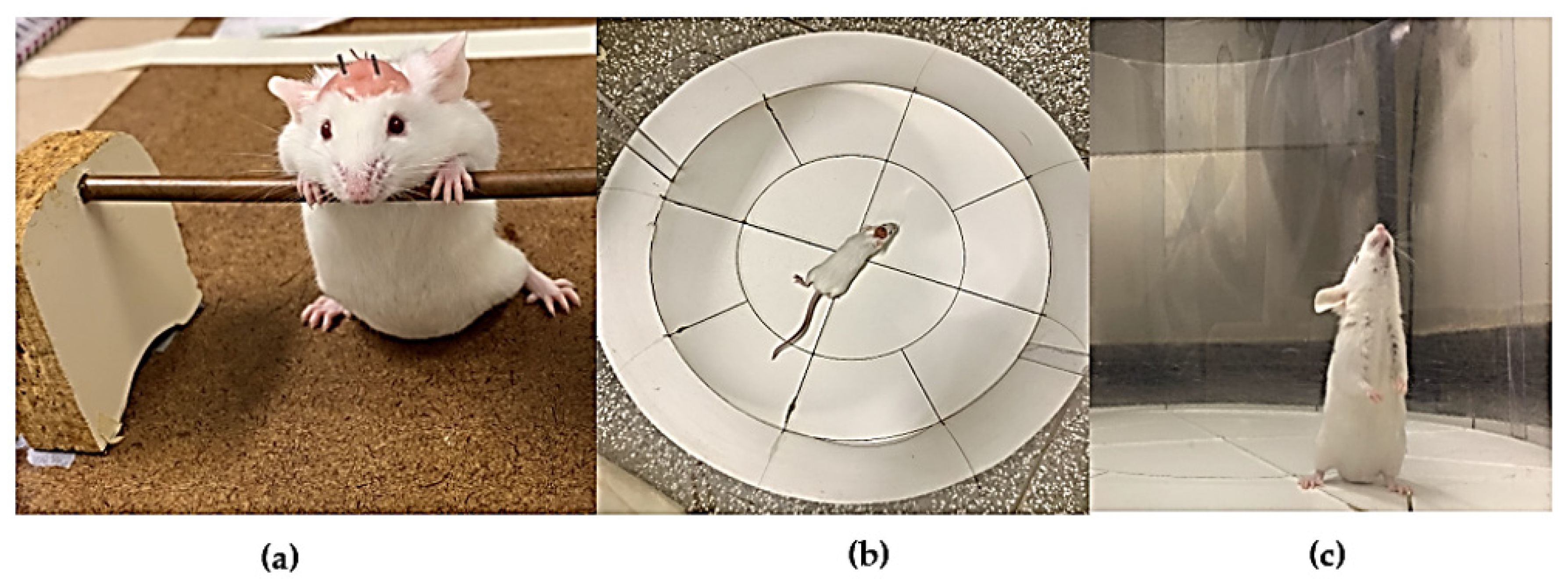 Ijms 25 05191 g006 Ijms 25 05191 g006