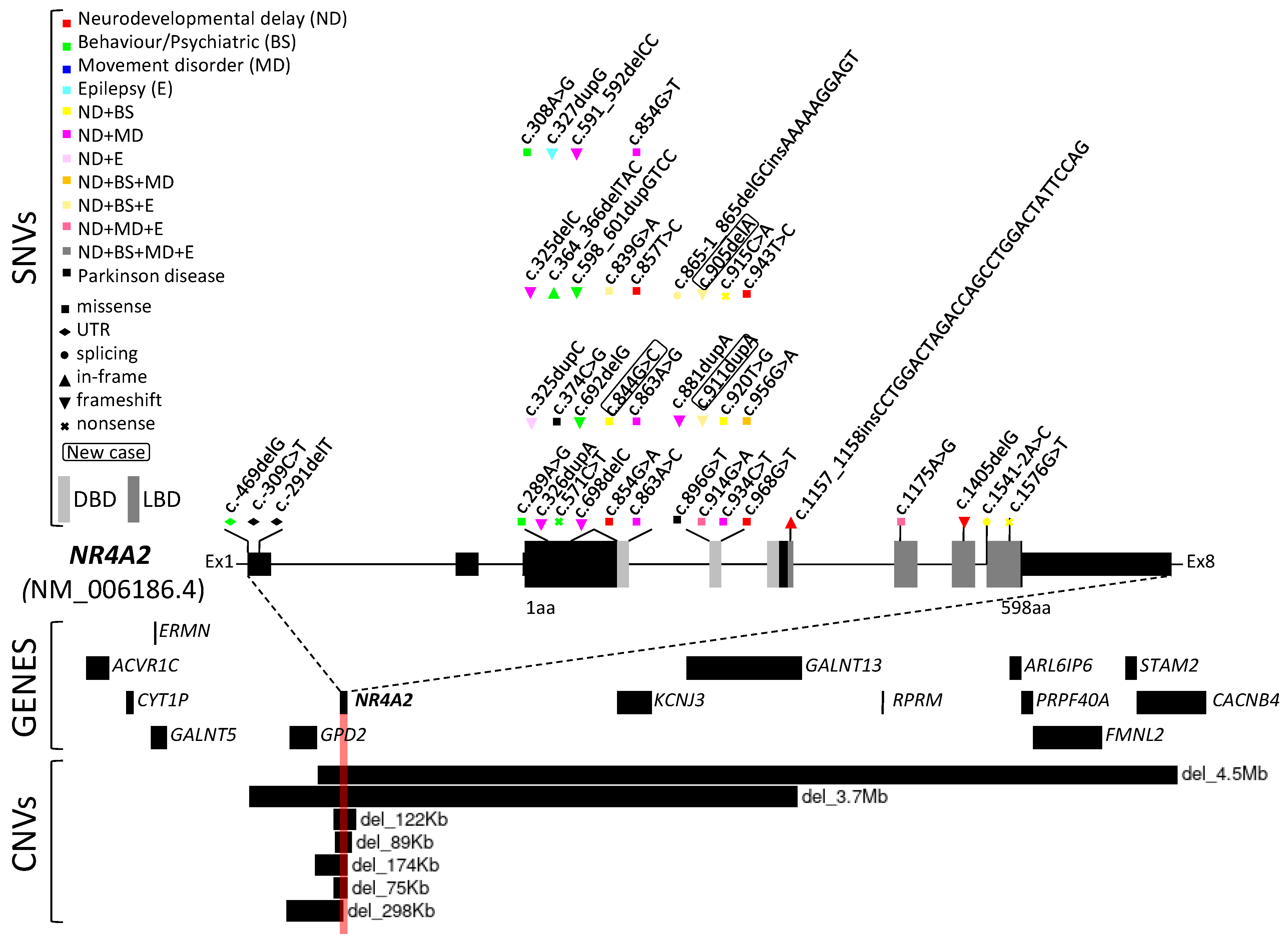 Ijms 25 05198 g002 Ijms 25 05198 g002