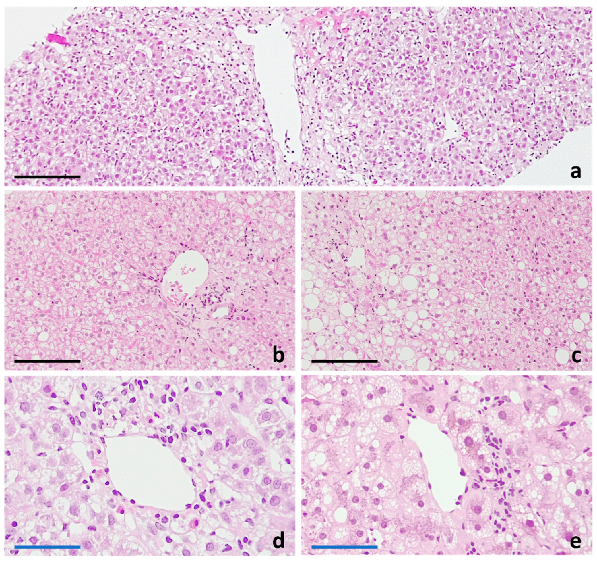 Ijms 25 05203 g003 Ijms 25 05203 g003