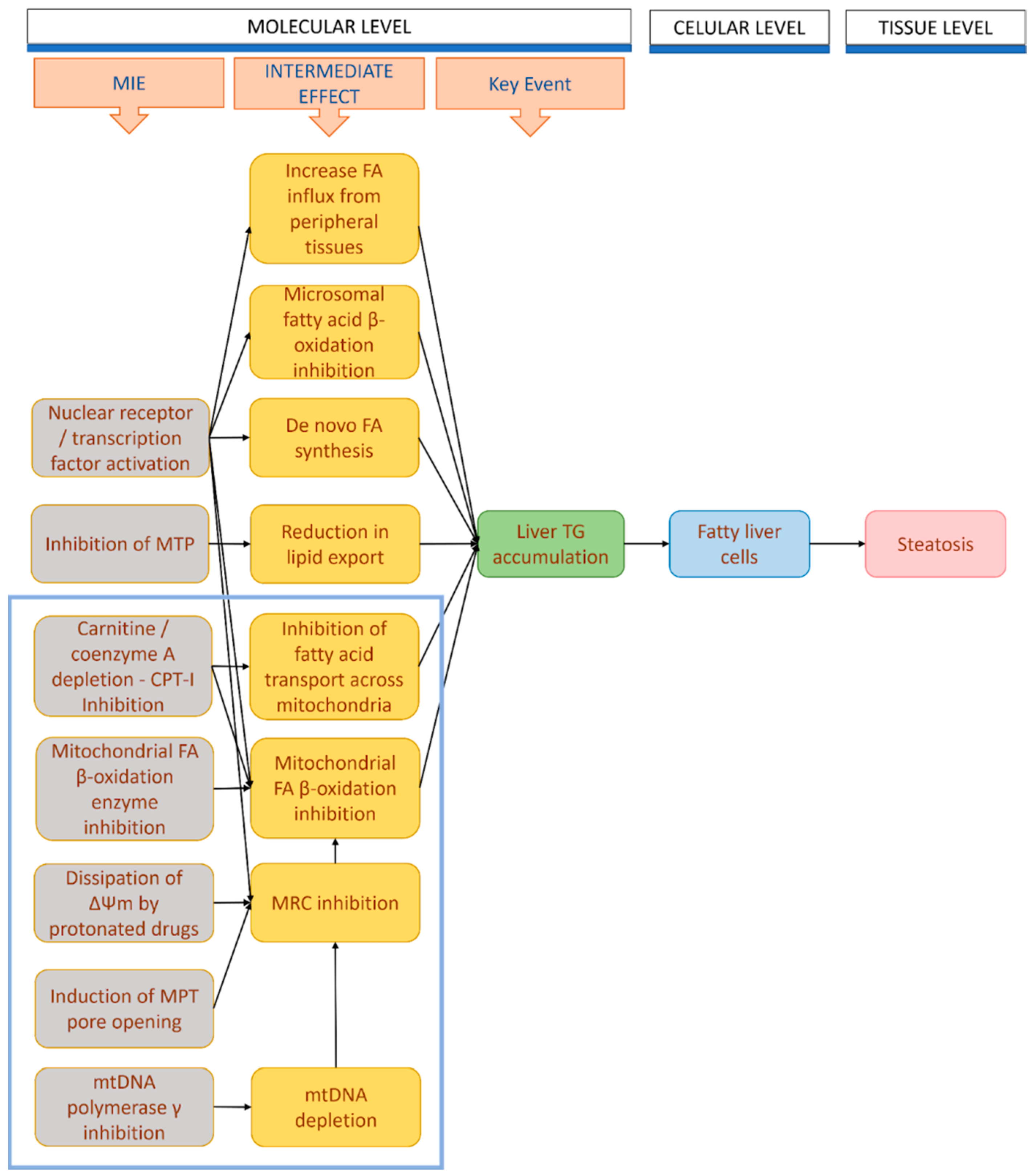 Ijms 25 05203 g006 Ijms 25 05203 g006