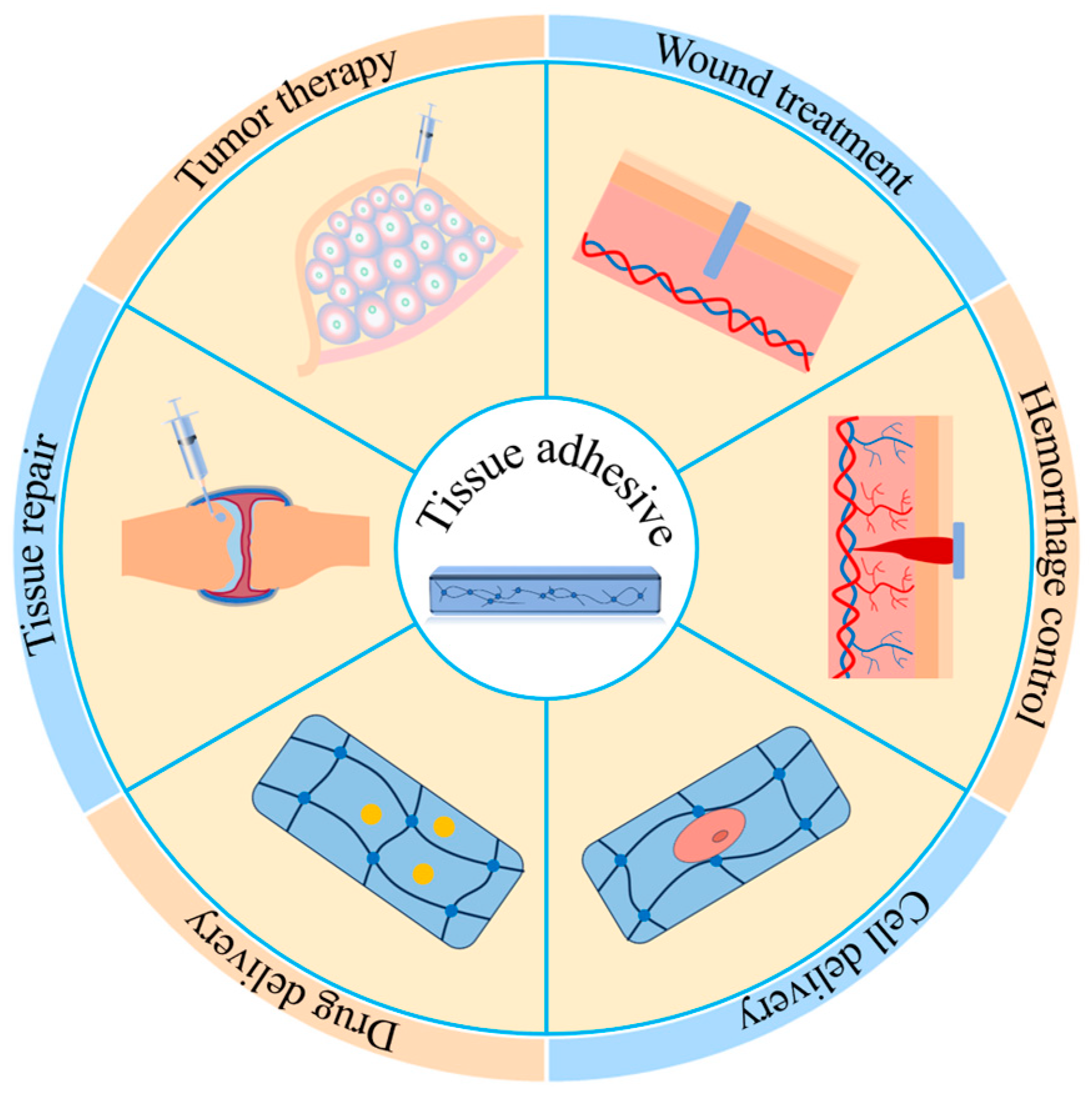 IJMS | Free Full-Text | Recent Advances in the Degradability and  Applications of Tissue Adhesives Based on Biodegradable Polymers