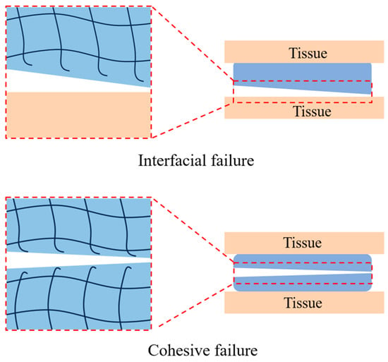 IJMS | Free Full-Text | Recent Advances In The Degradability And ...