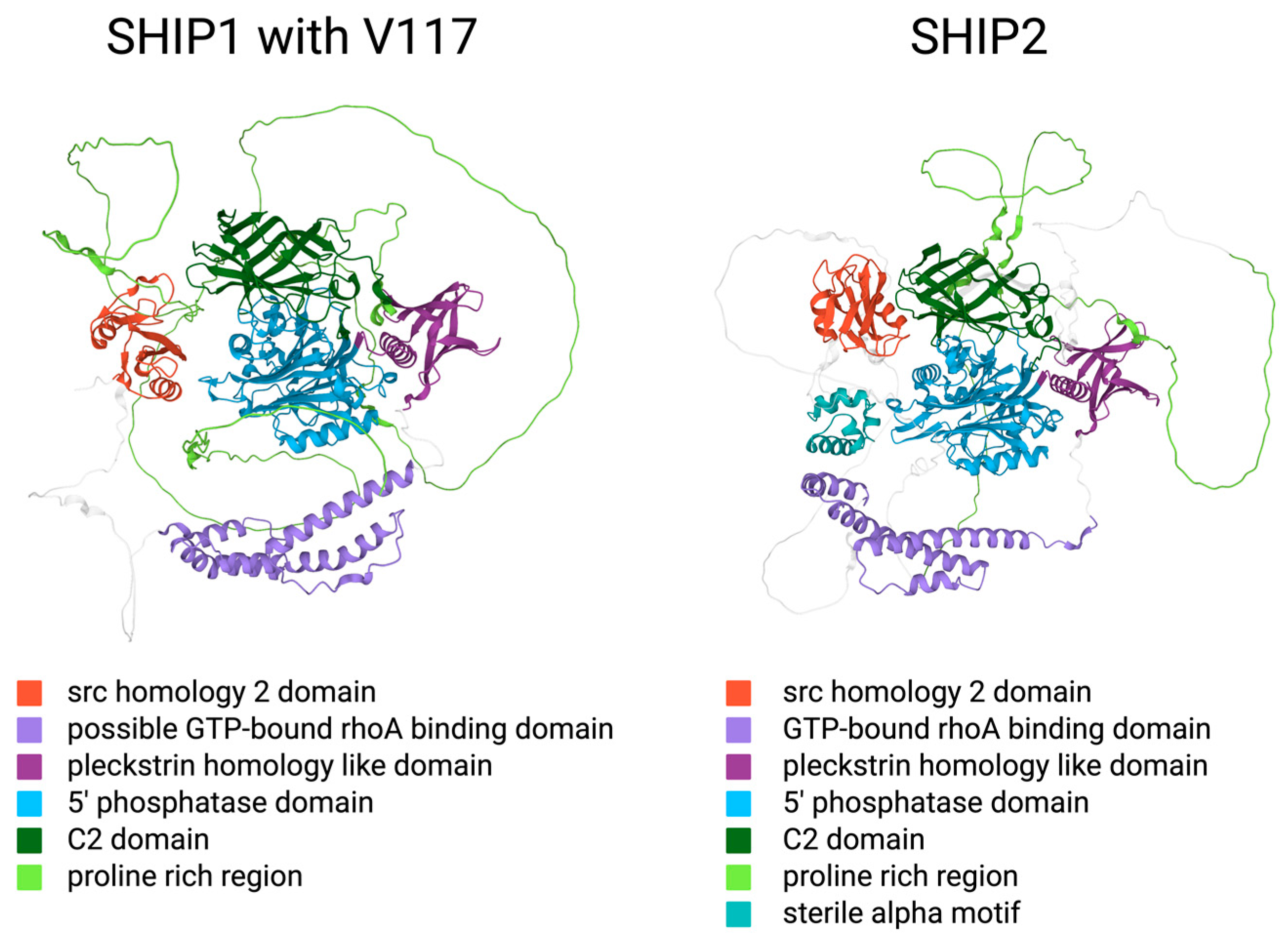 Ijms 25 05254 g001 Ijms 25 05254 g001