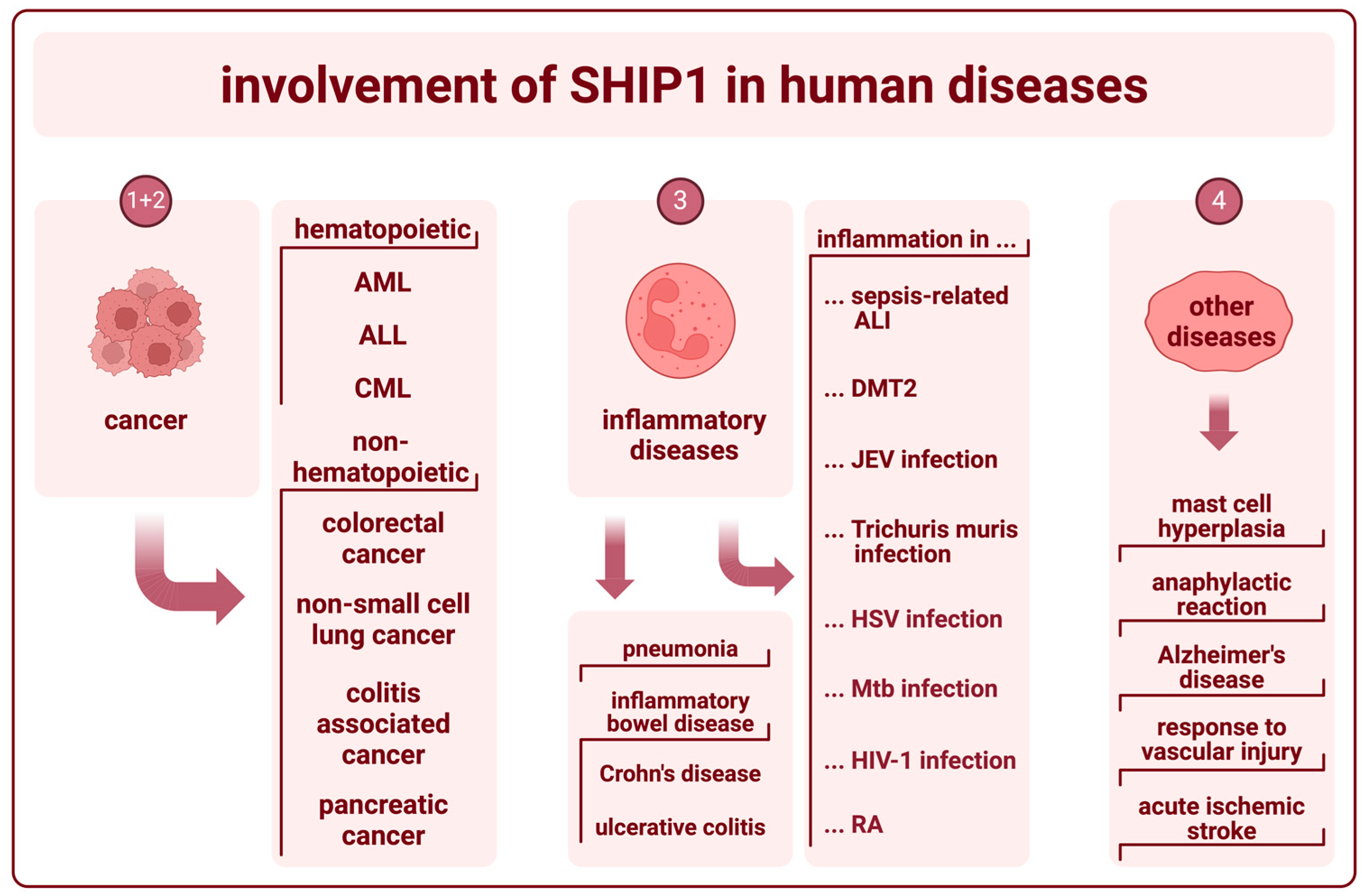 Ijms 25 05254 g003 Ijms 25 05254 g003