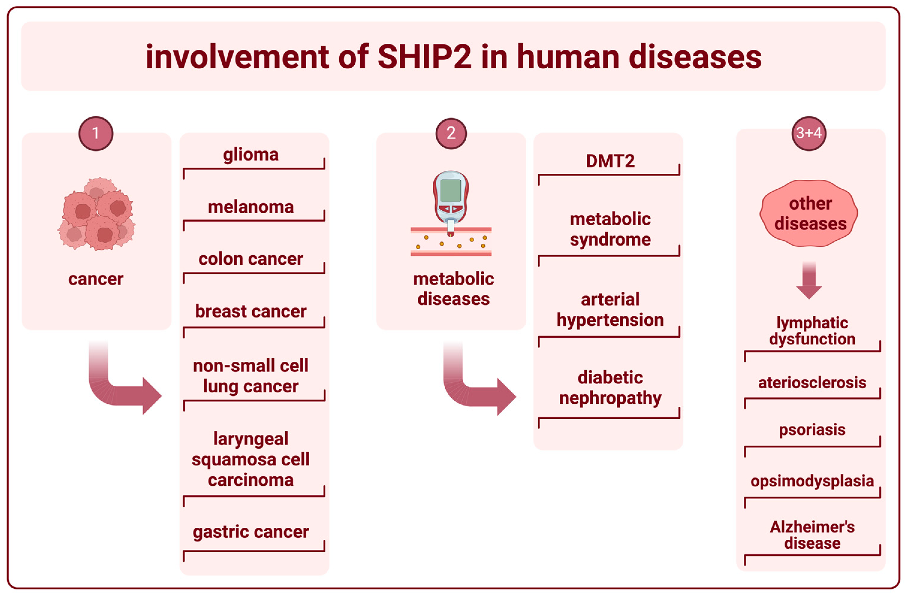 Ijms 25 05254 g005 Ijms 25 05254 g005