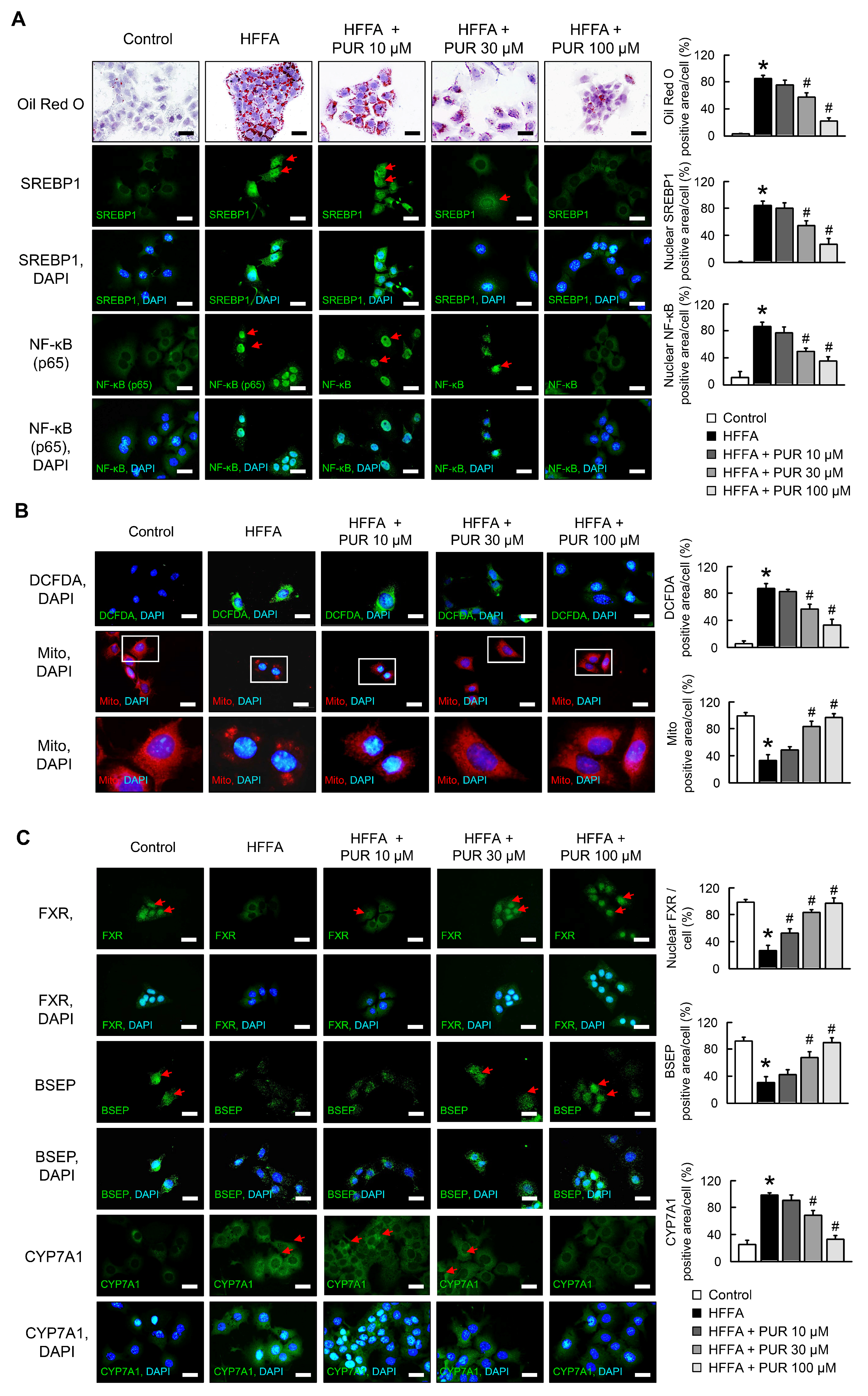 Ijms 25 05274 g001 Ijms 25 05274 g001