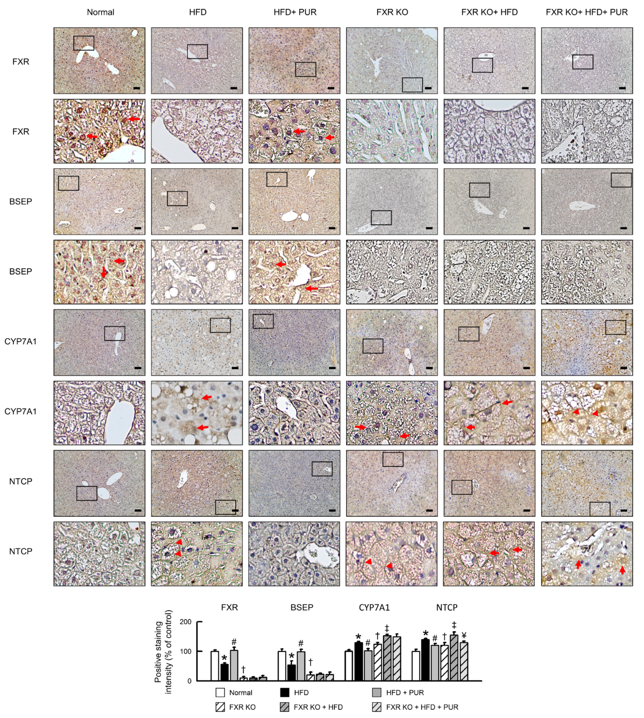 Ijms 25 05274 g008 Ijms 25 05274 g008