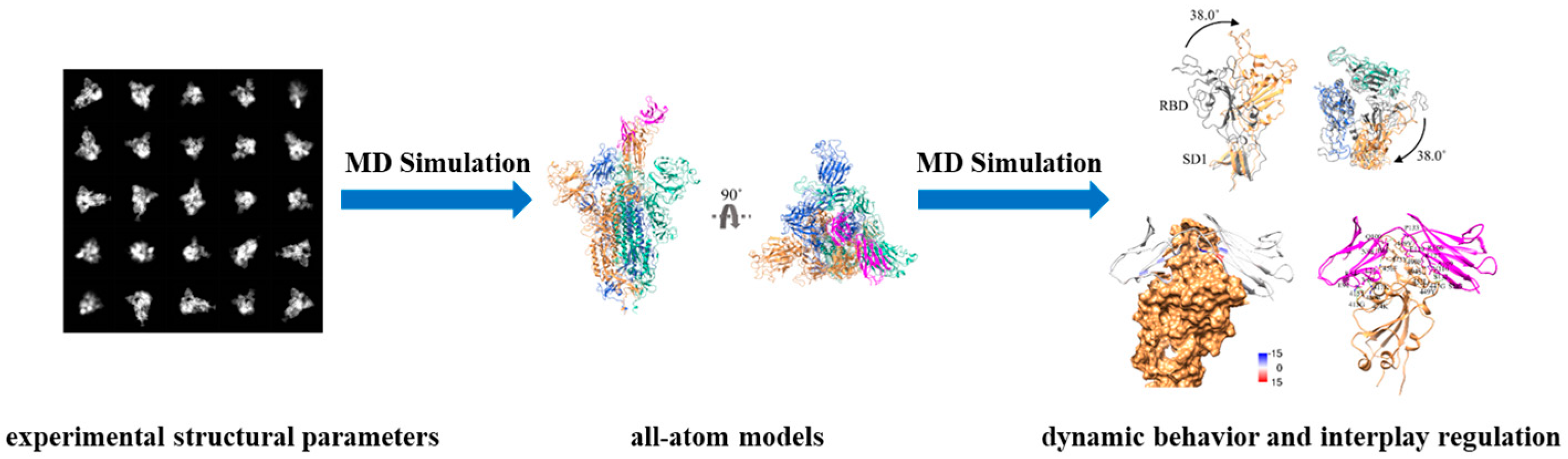 Ijms 25 05296 g001