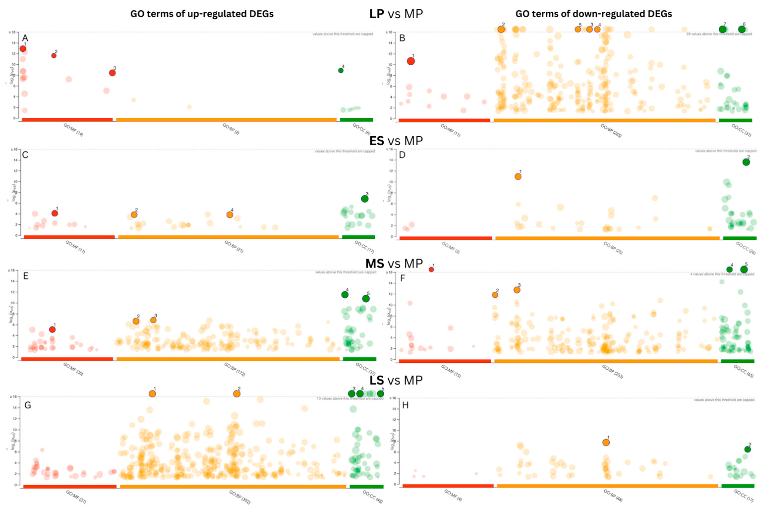 Ijms 25 05320 g004 Ijms 25 05320 g004