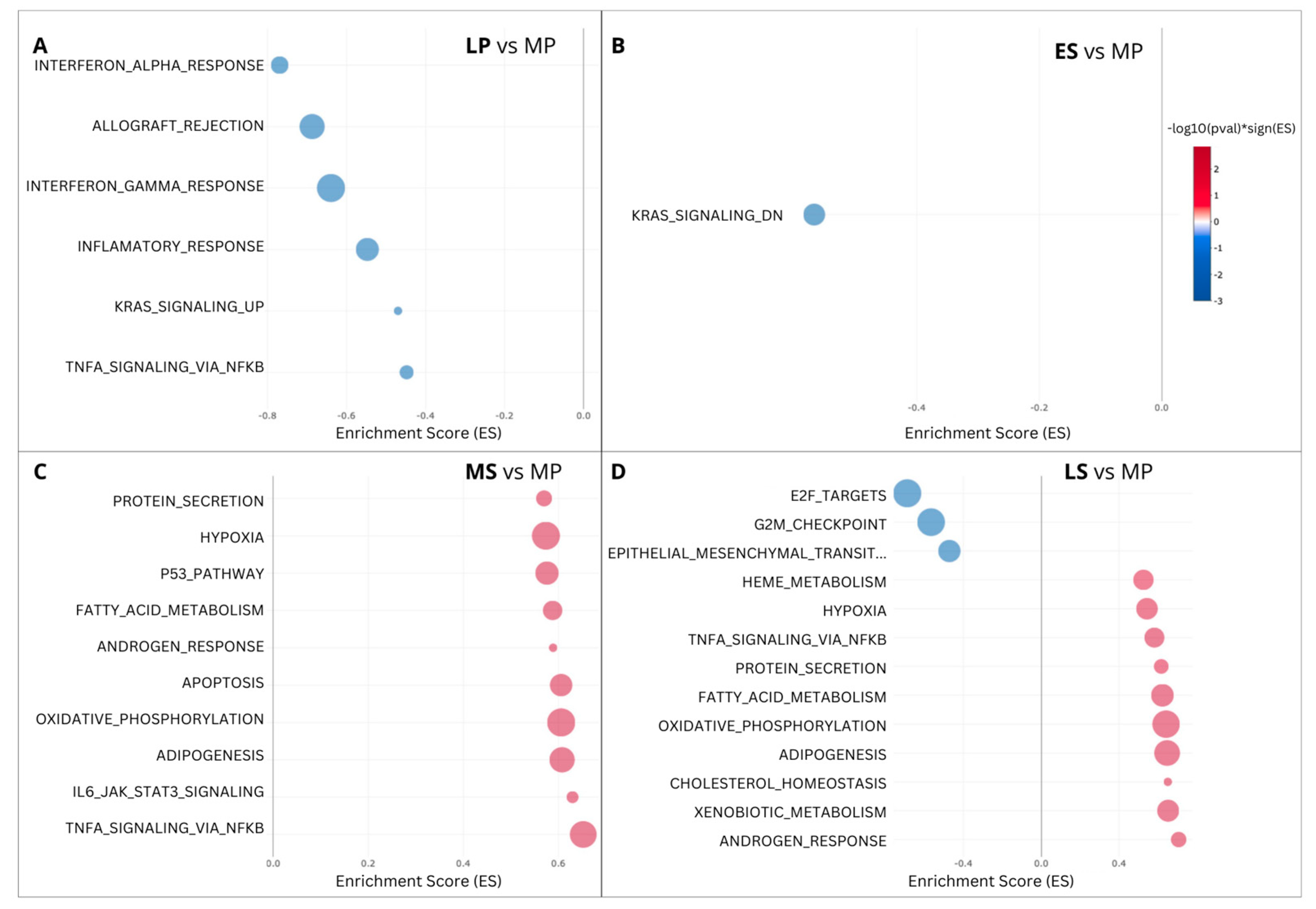 Ijms 25 05320 g005 Ijms 25 05320 g005