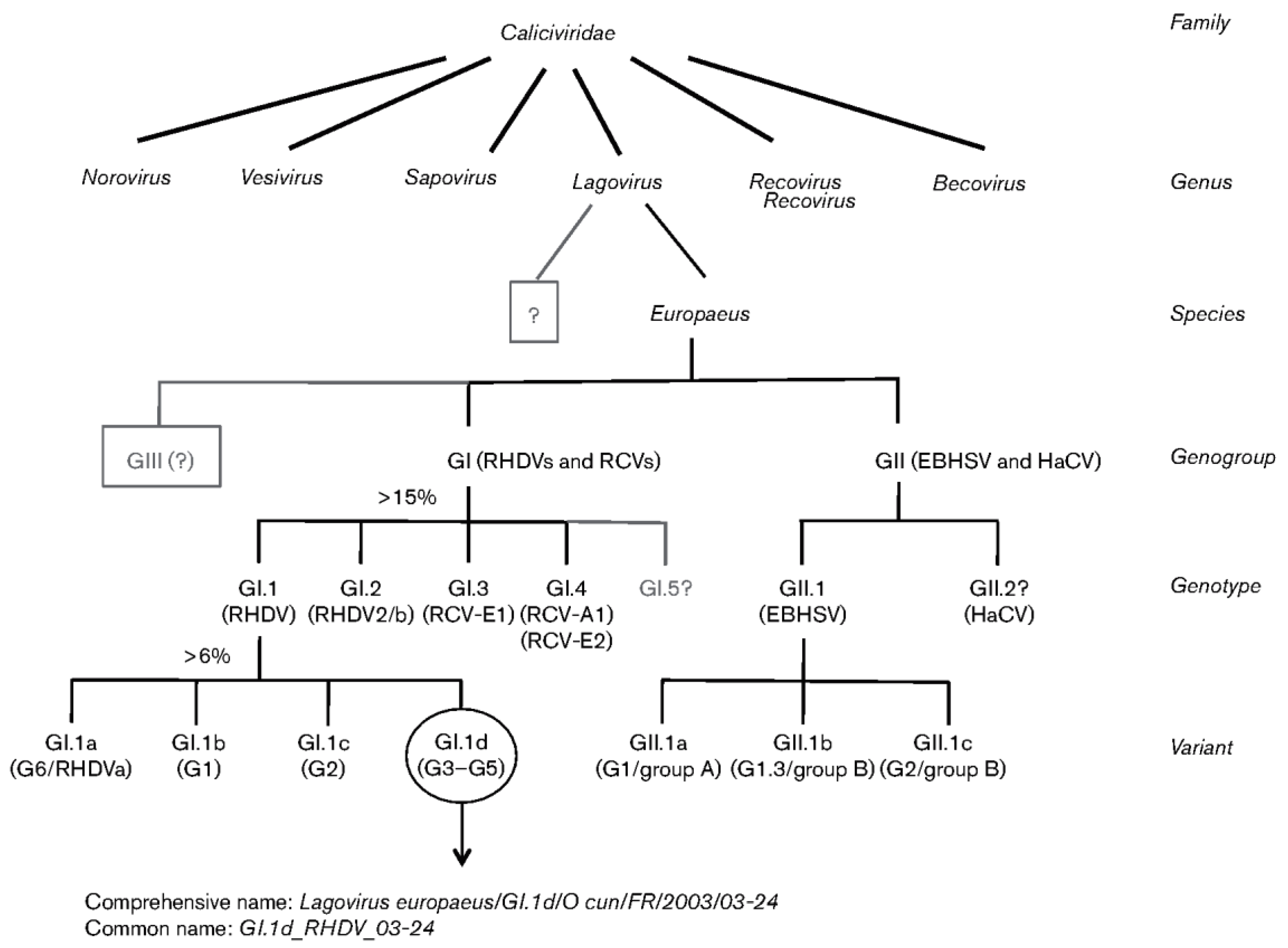 Ijms 25 05342 g001 Ijms 25 05342 g001