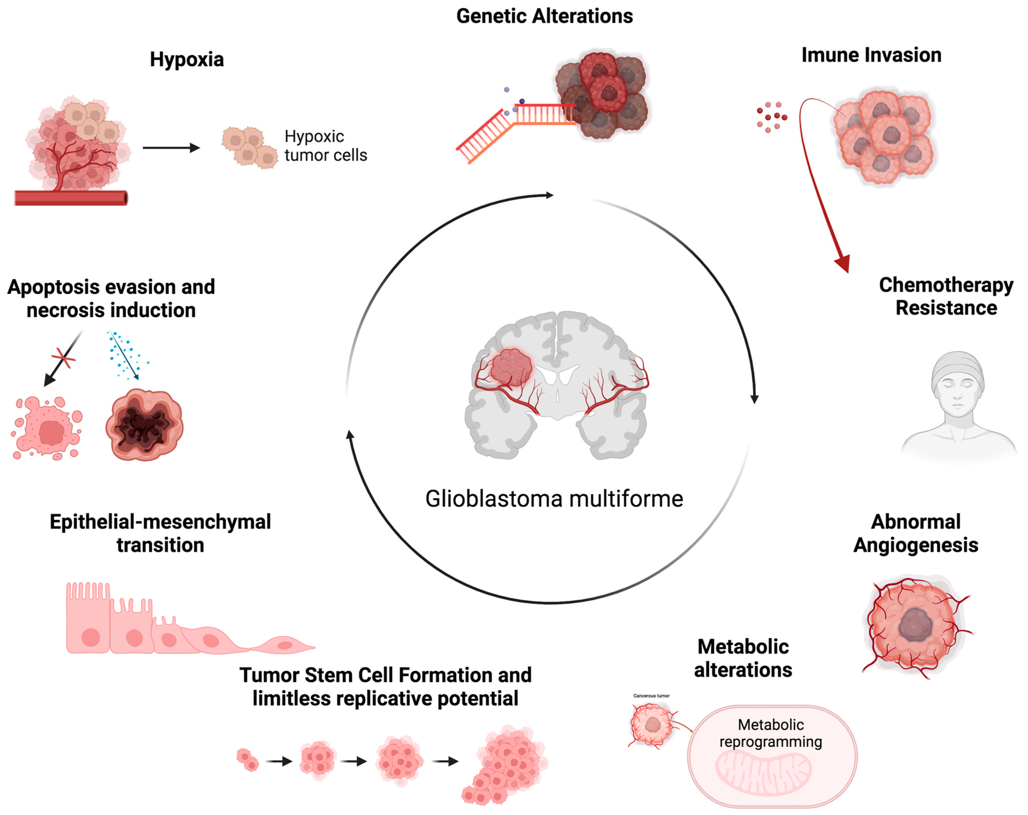 Ijms 25 05394 g001 Ijms 25 05394 g001
