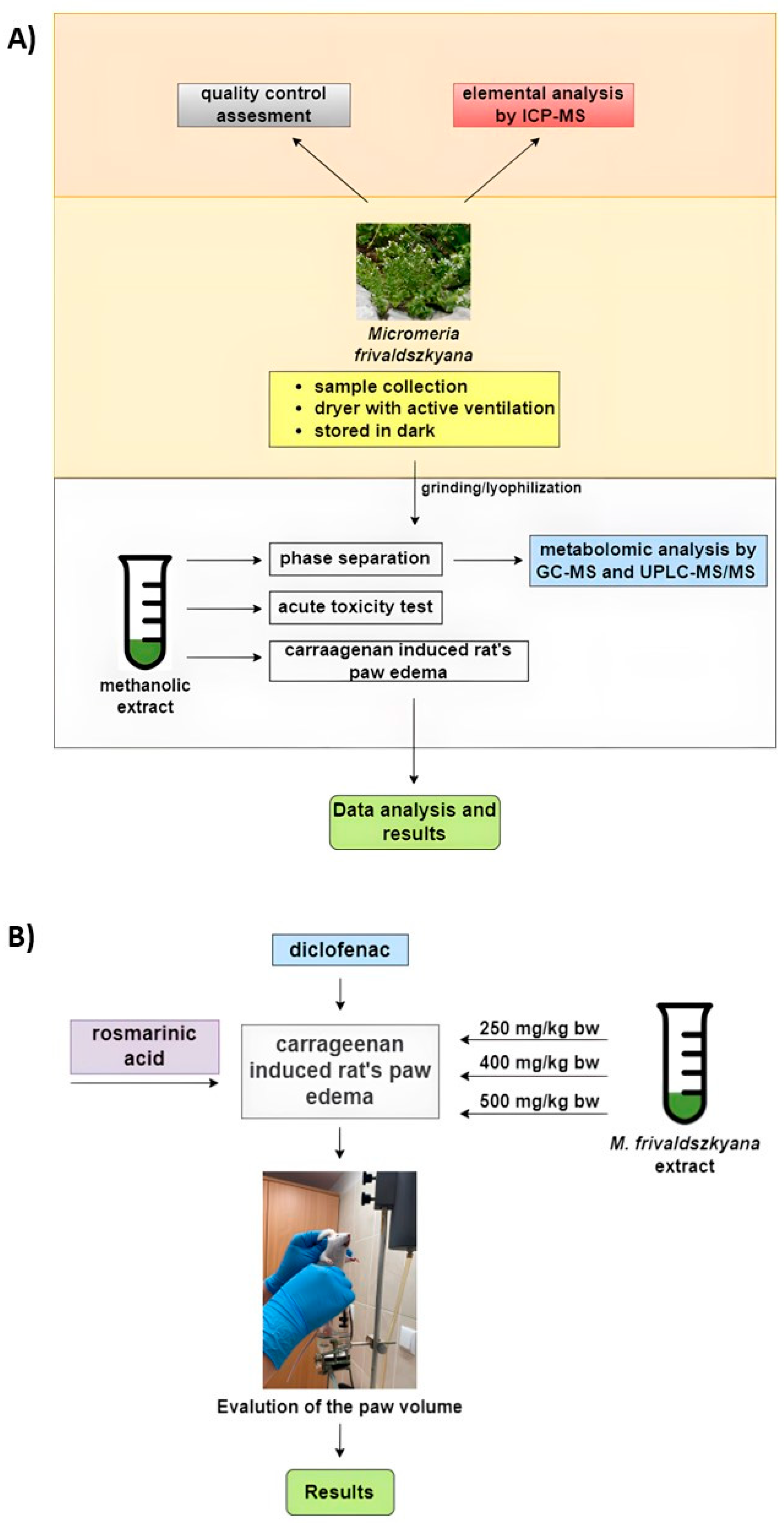 Ijms 25 05396 g002