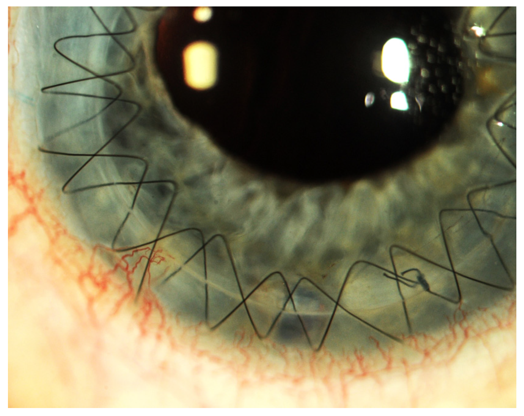 Ijms 25 05479 g003 Ijms 25 05479 g003