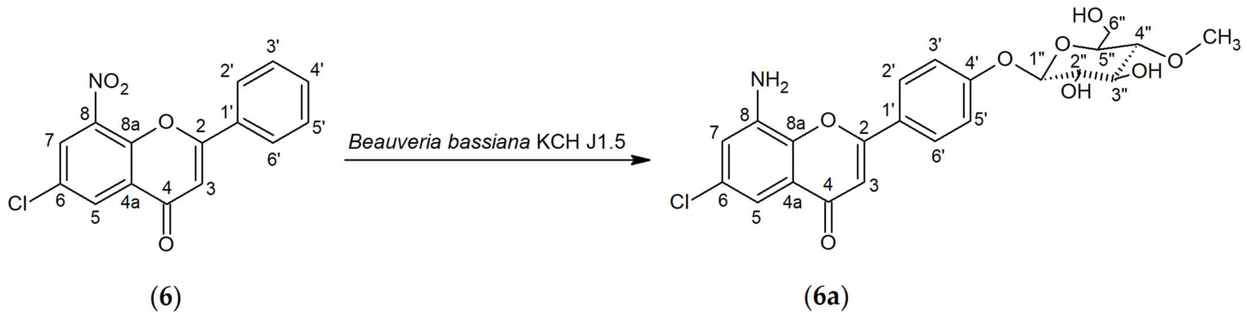 Ijms 25 05540 g002 Ijms 25 05540 g002