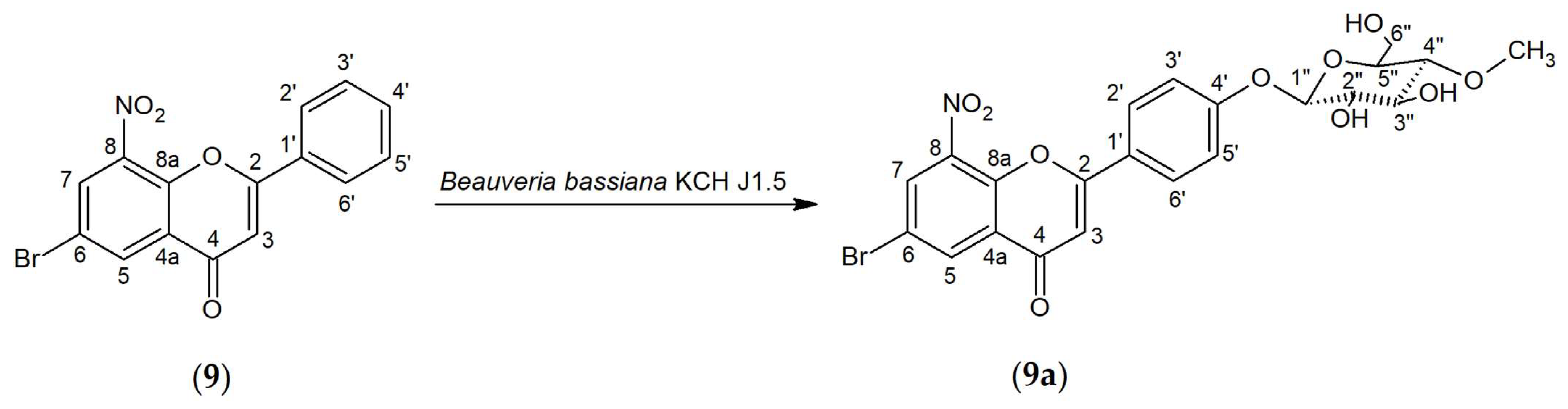 Ijms 25 05540 g003 Ijms 25 05540 g003