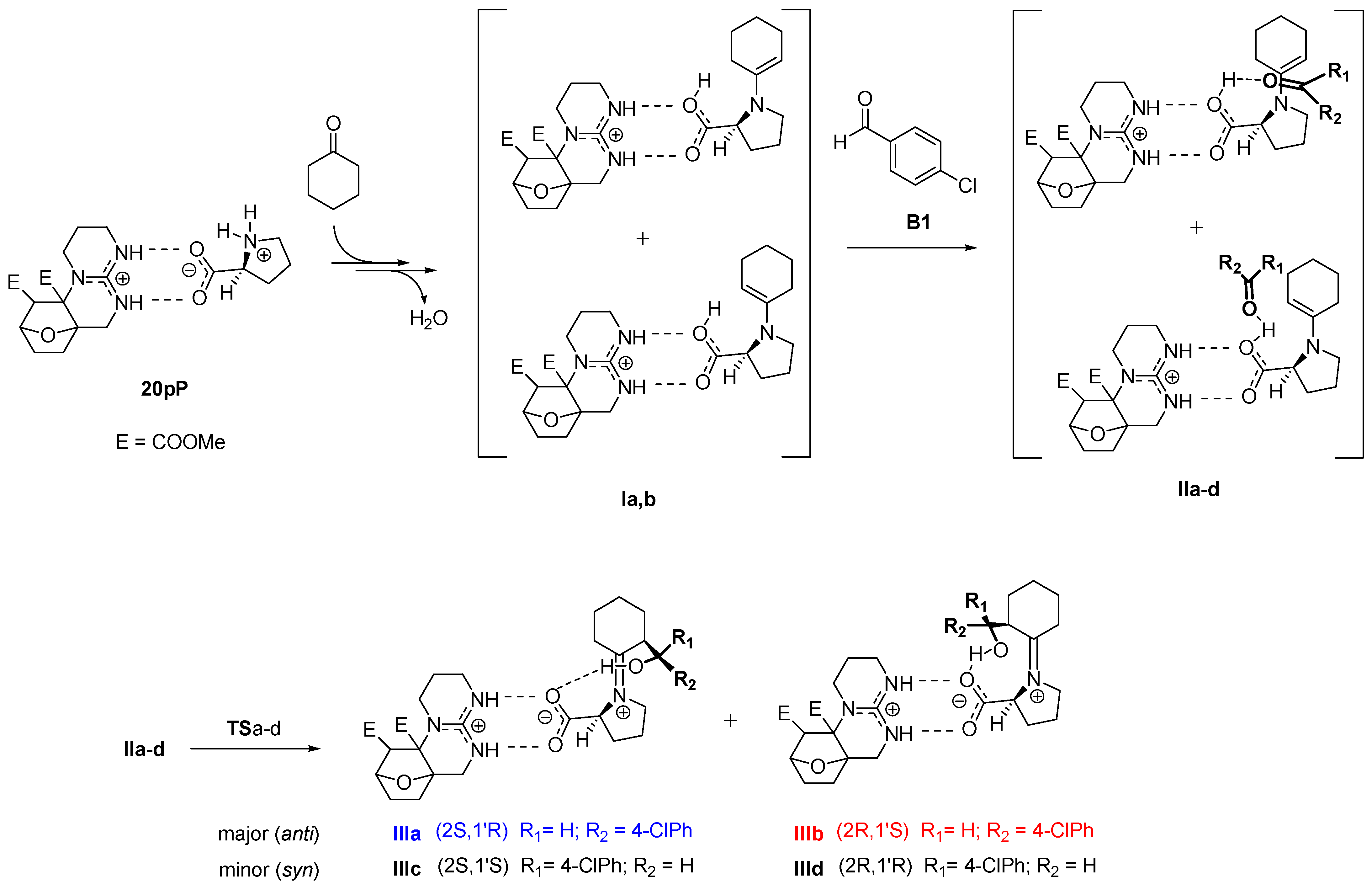Ijms 25 05570 sch002