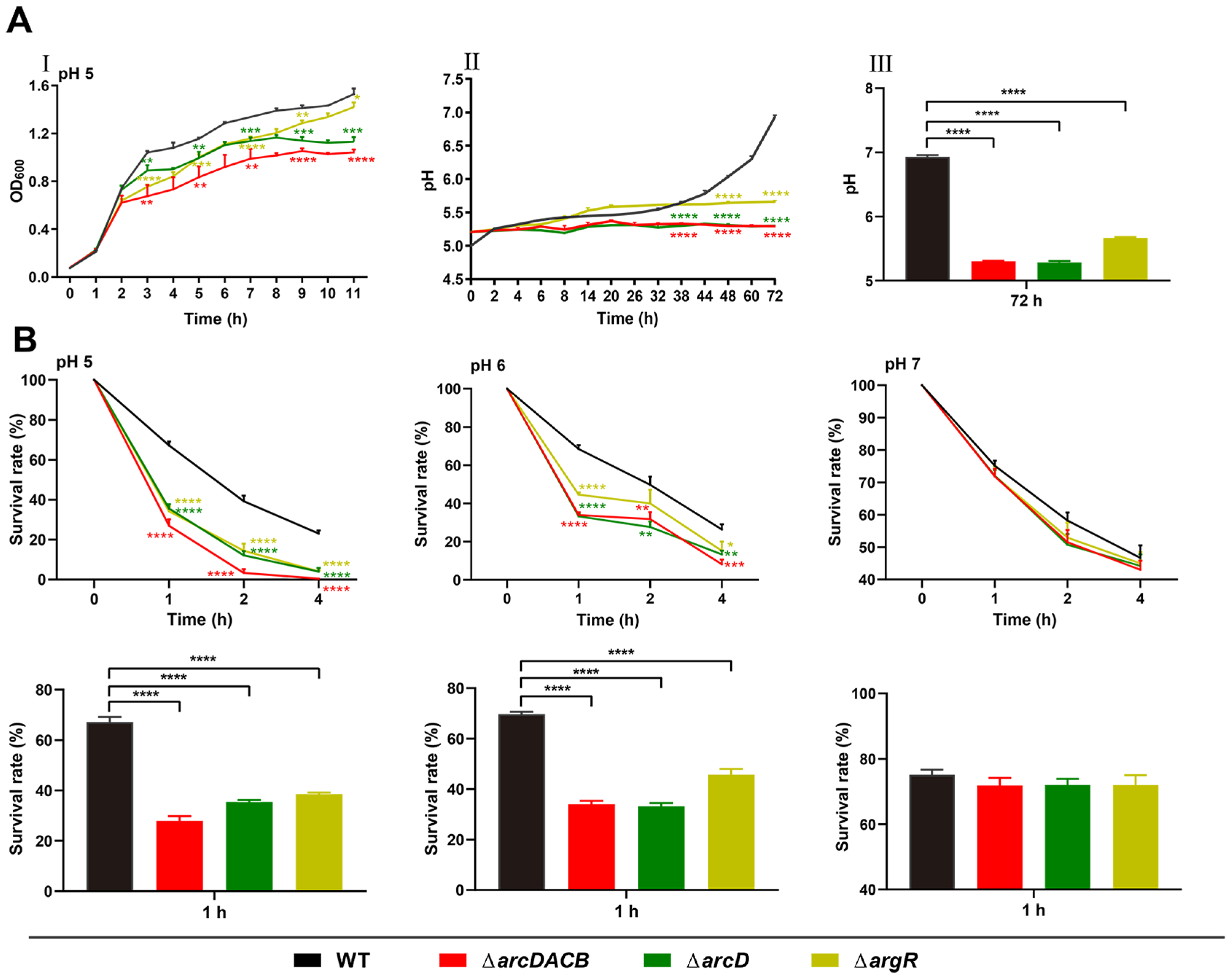Ijms 25 05679 g003 Ijms 25 05679 g003