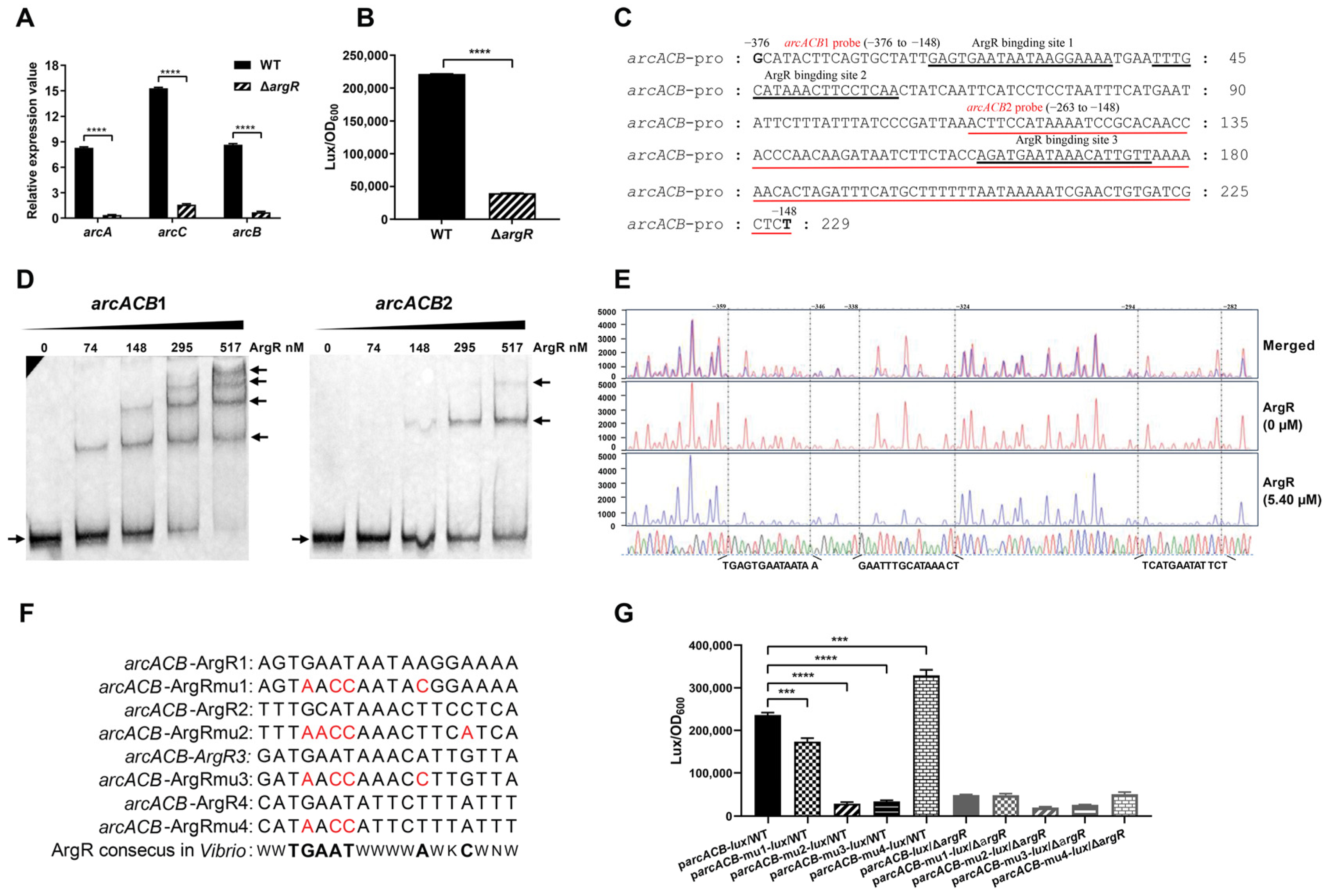 Ijms 25 05679 g005 Ijms 25 05679 g005