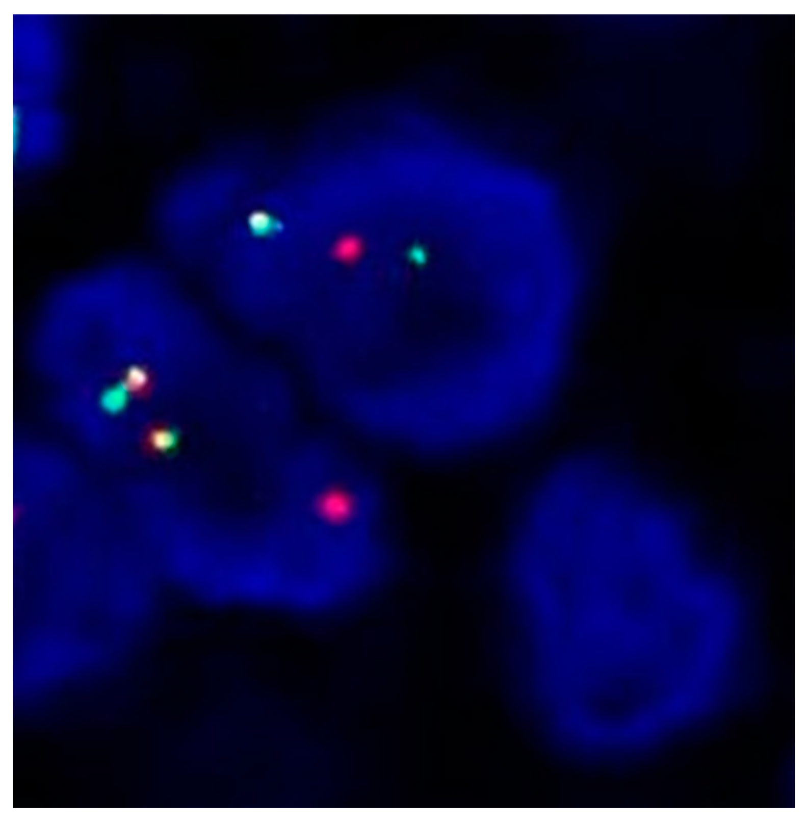 Ijms 25 05698 g001 Ijms 25 05698 g001