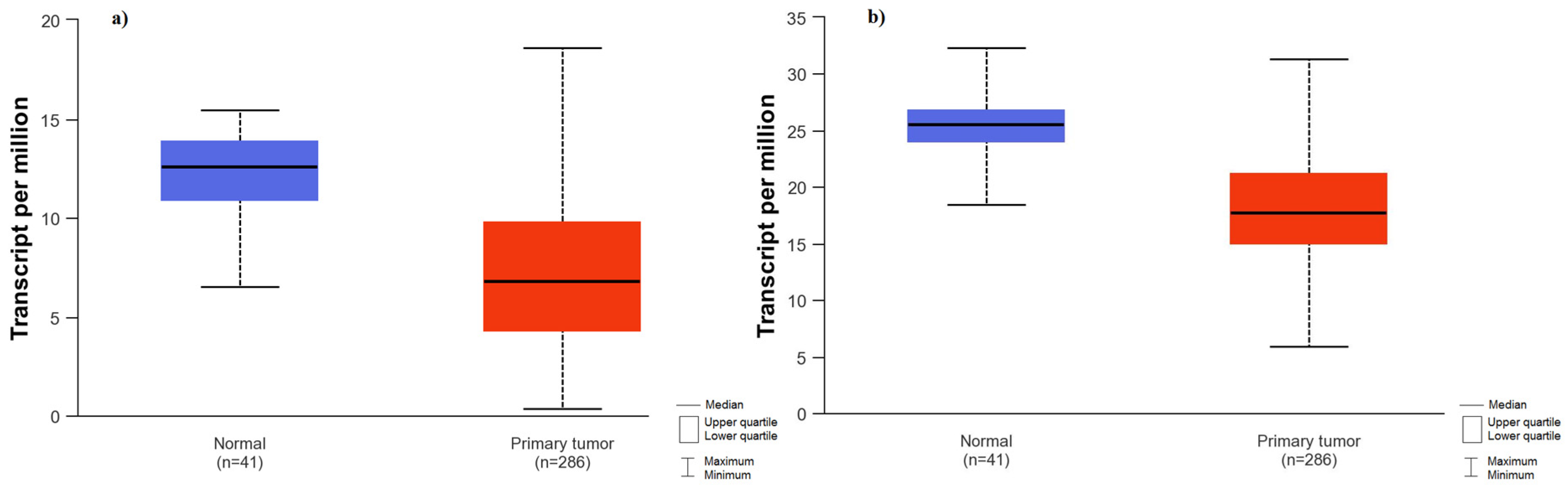 Ijms 25 05806 g002 Ijms 25 05806 g002