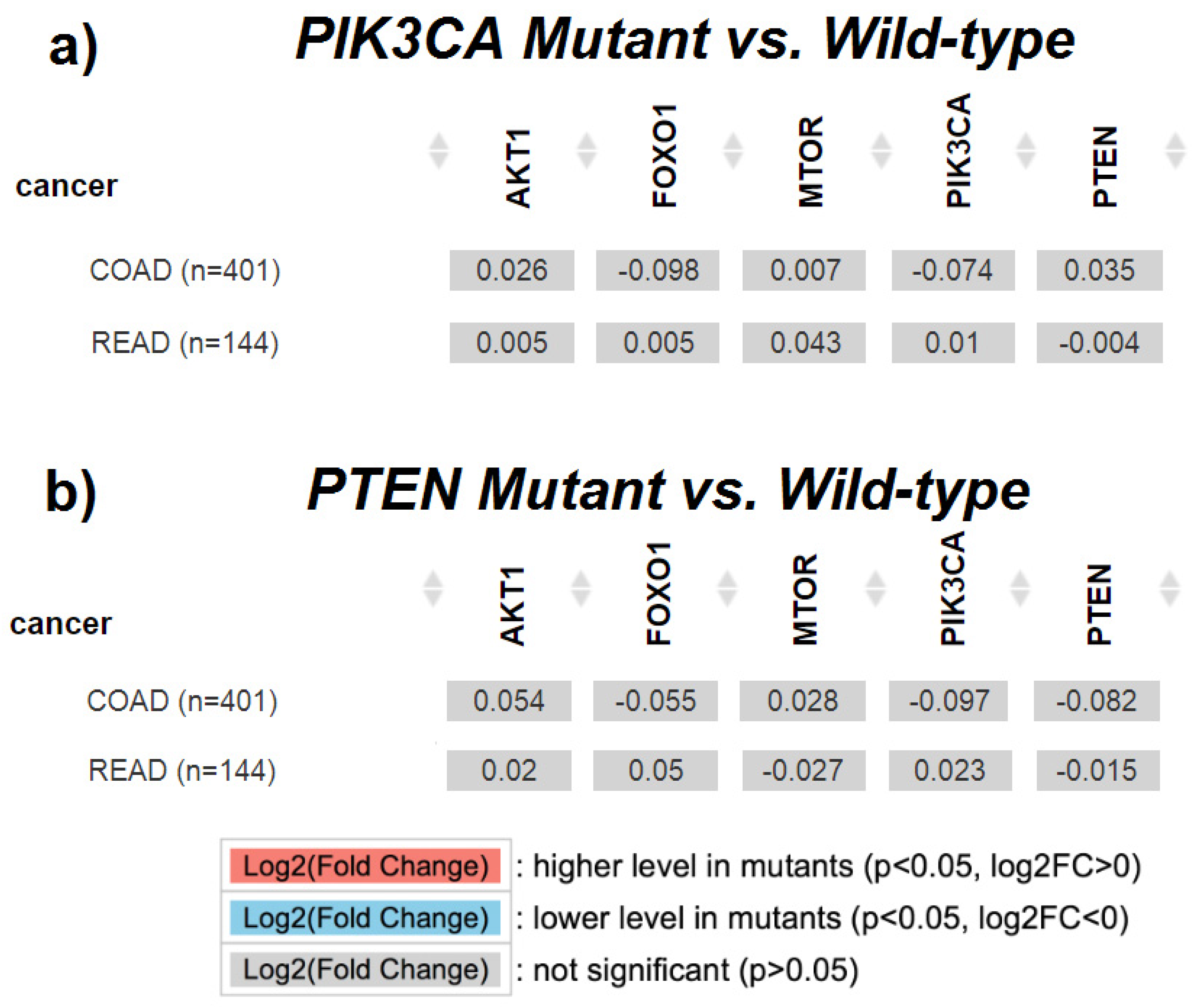 Ijms 25 05806 g005 Ijms 25 05806 g005