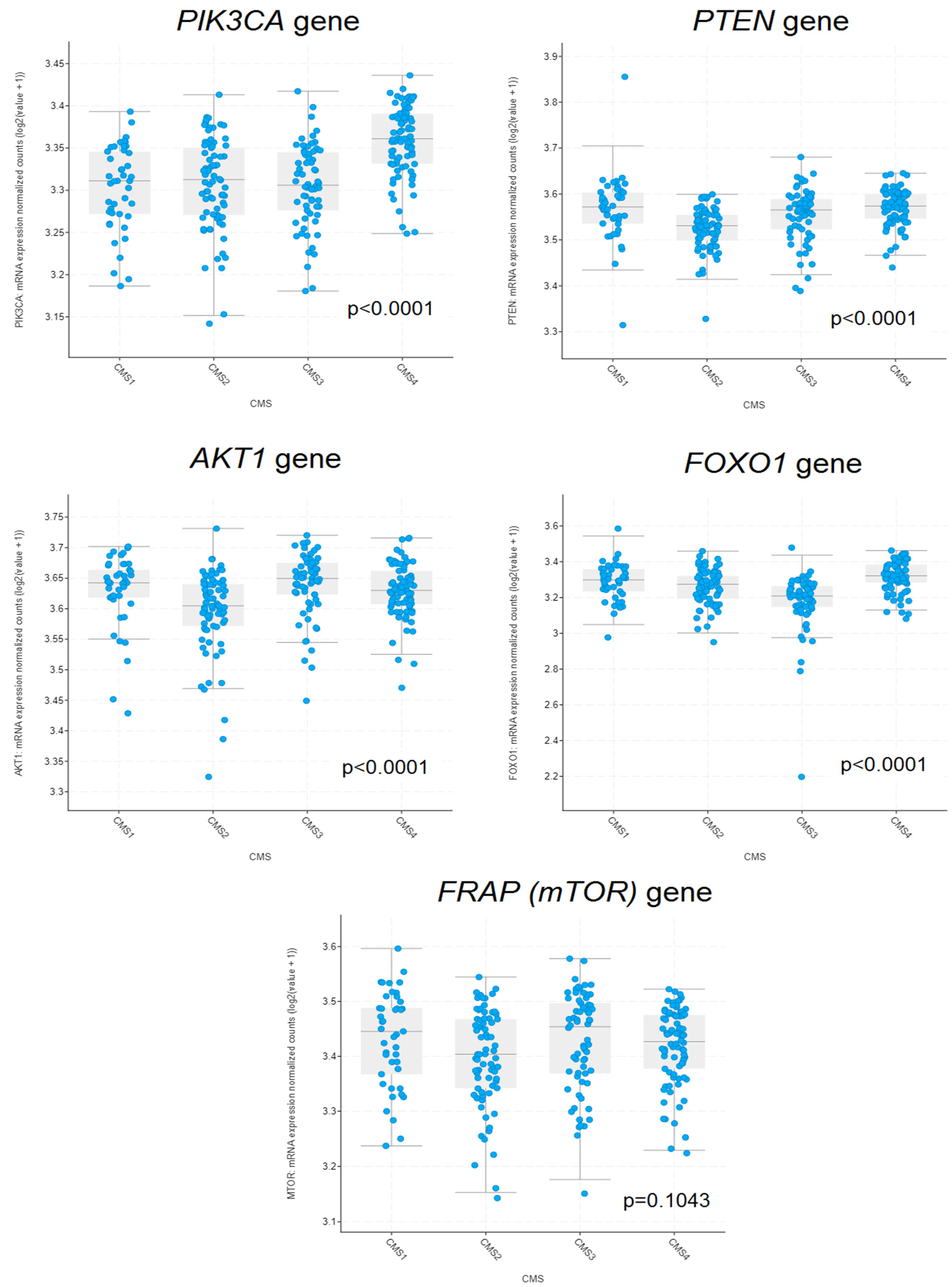 Ijms 25 05806 g006 Ijms 25 05806 g006
