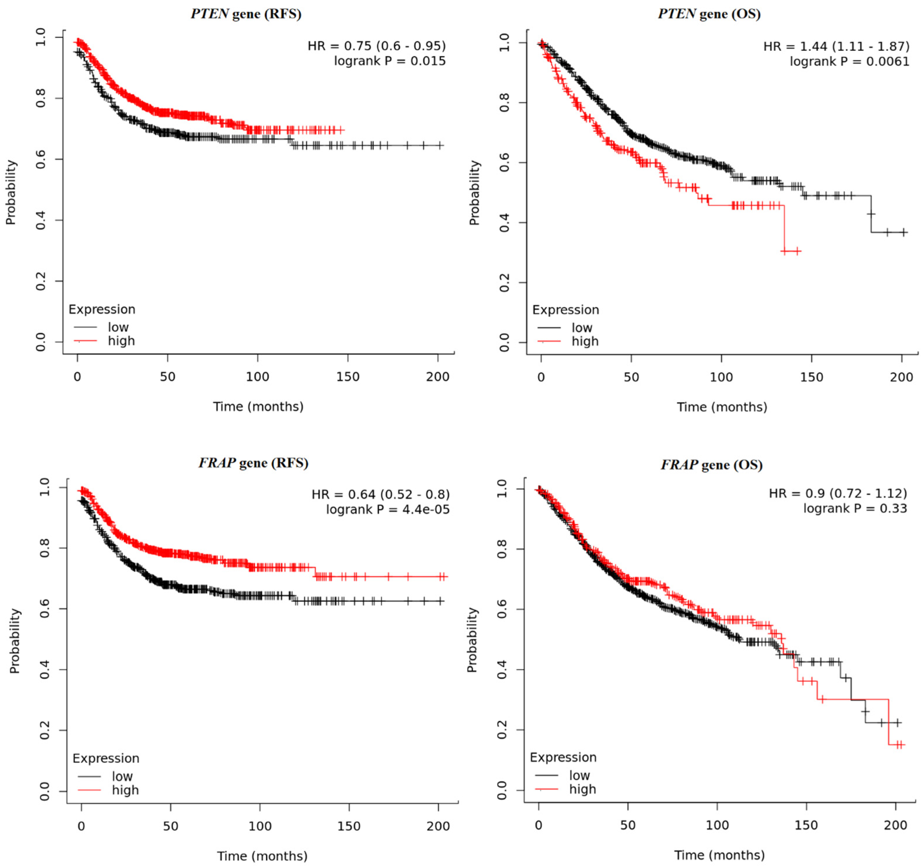 Ijms 25 05806 g007 Ijms 25 05806 g007