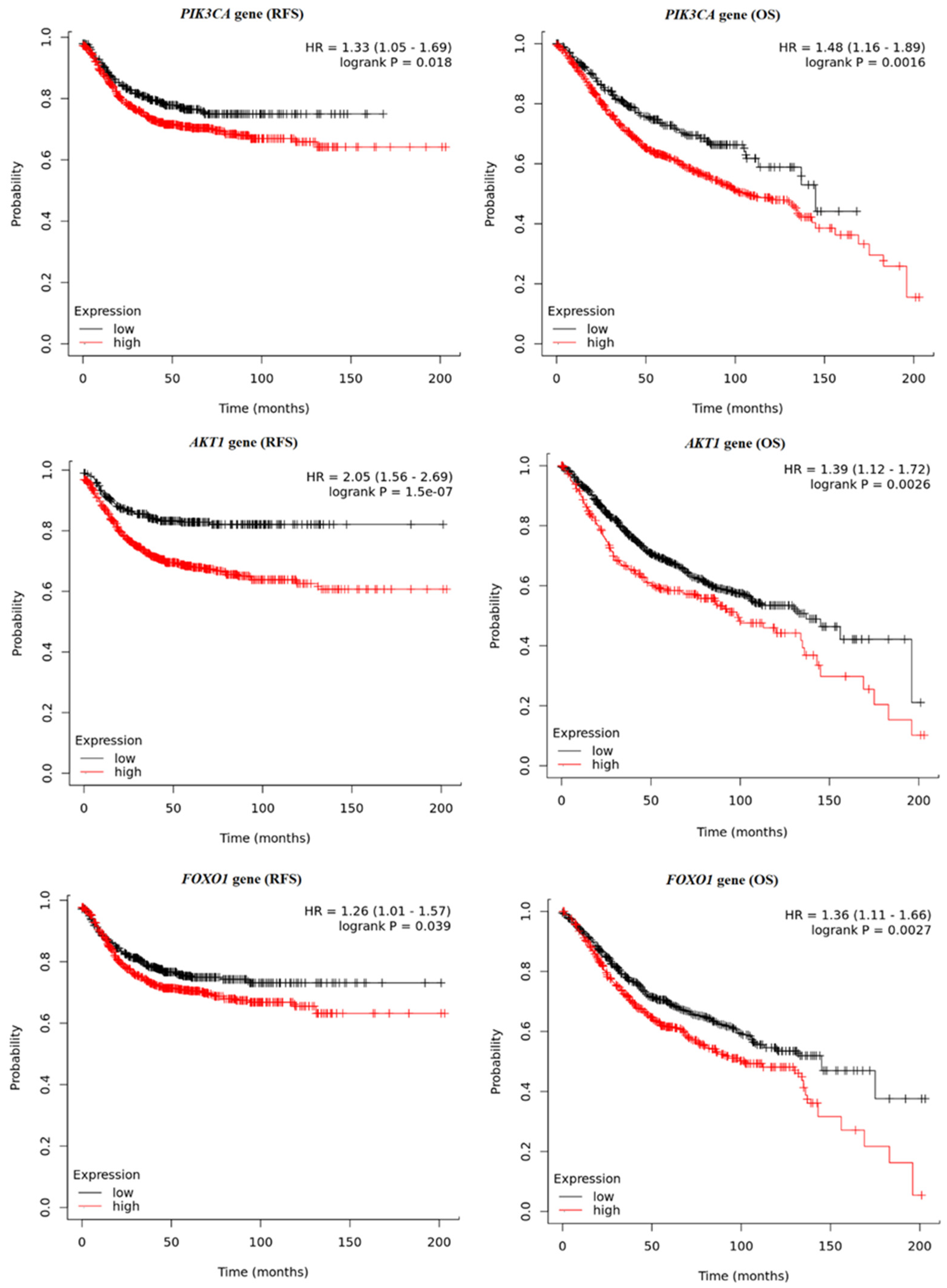 Ijms 25 05806 g008 Ijms 25 05806 g008